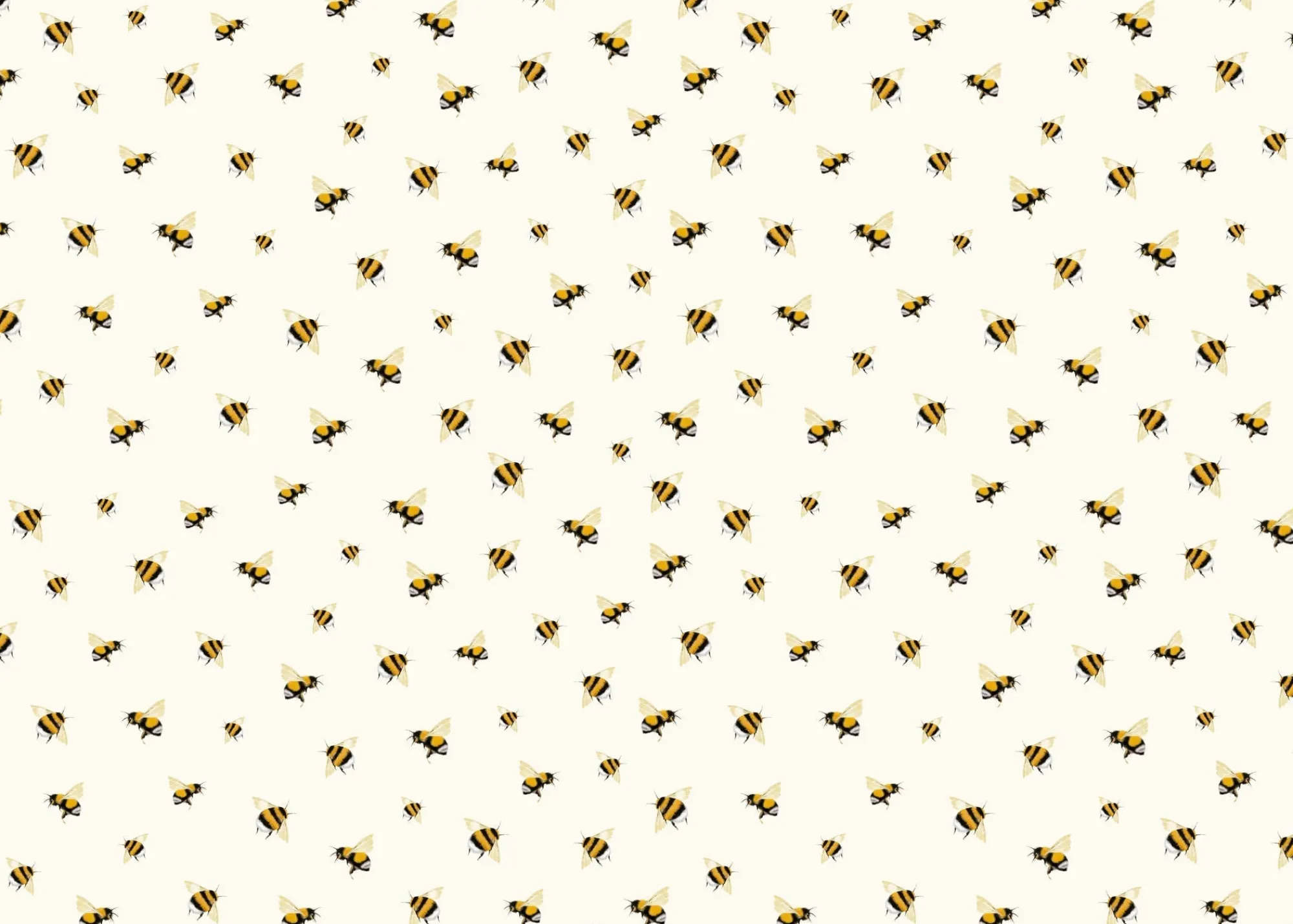Gift Wrap|Birthday*Whistlefish Humble Bumbles Wrapping Paper