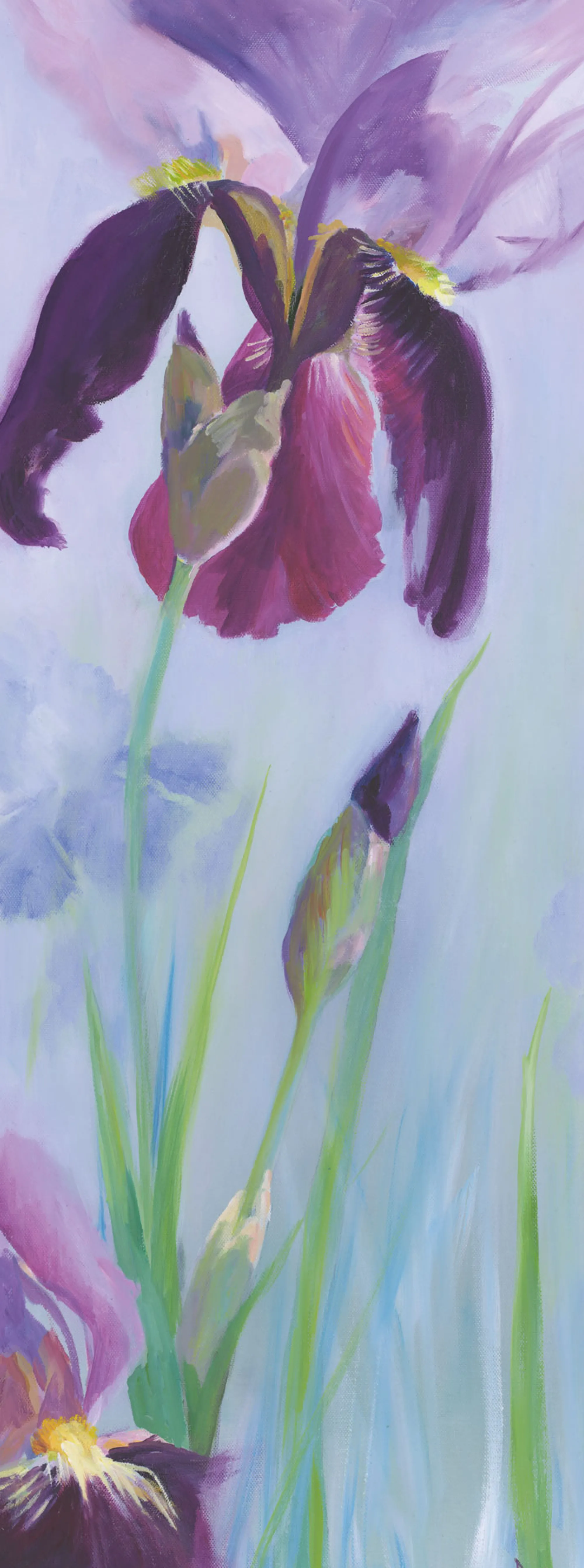 Unframed Prints*Whistlefish Iris Flower Large Art Print