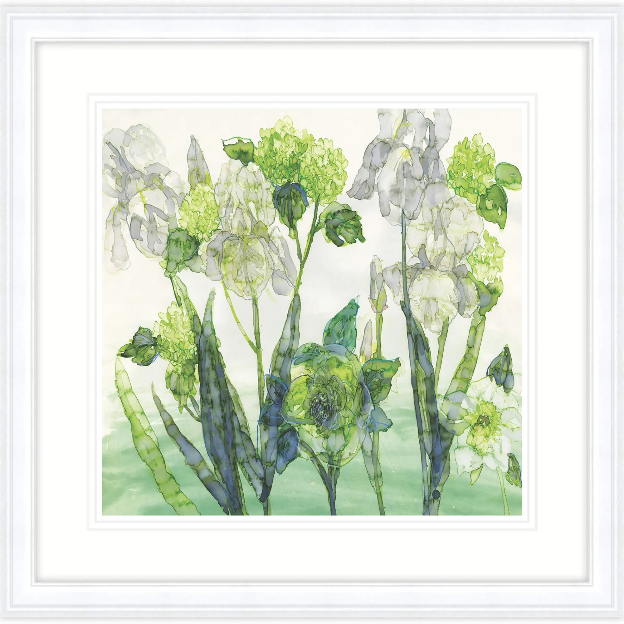 Floral & Flowers|Framed Prints*Whistlefish Iris, Hellebore & Viburnum Framed Print