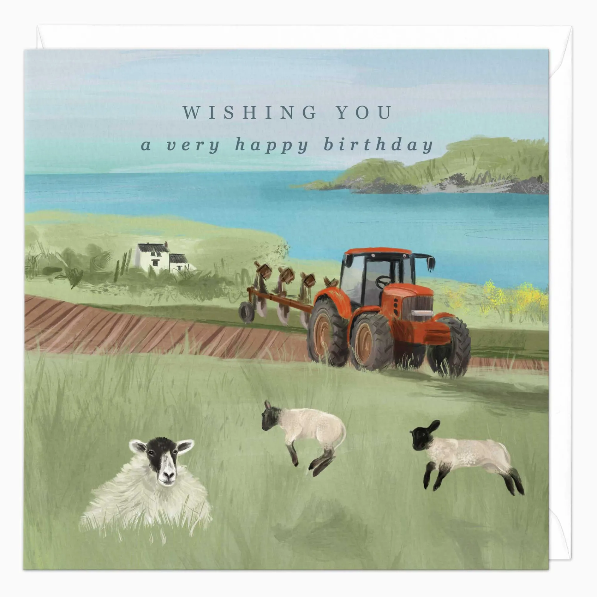 Birthday*Whistlefish Lambs By The Sea Birthday Card