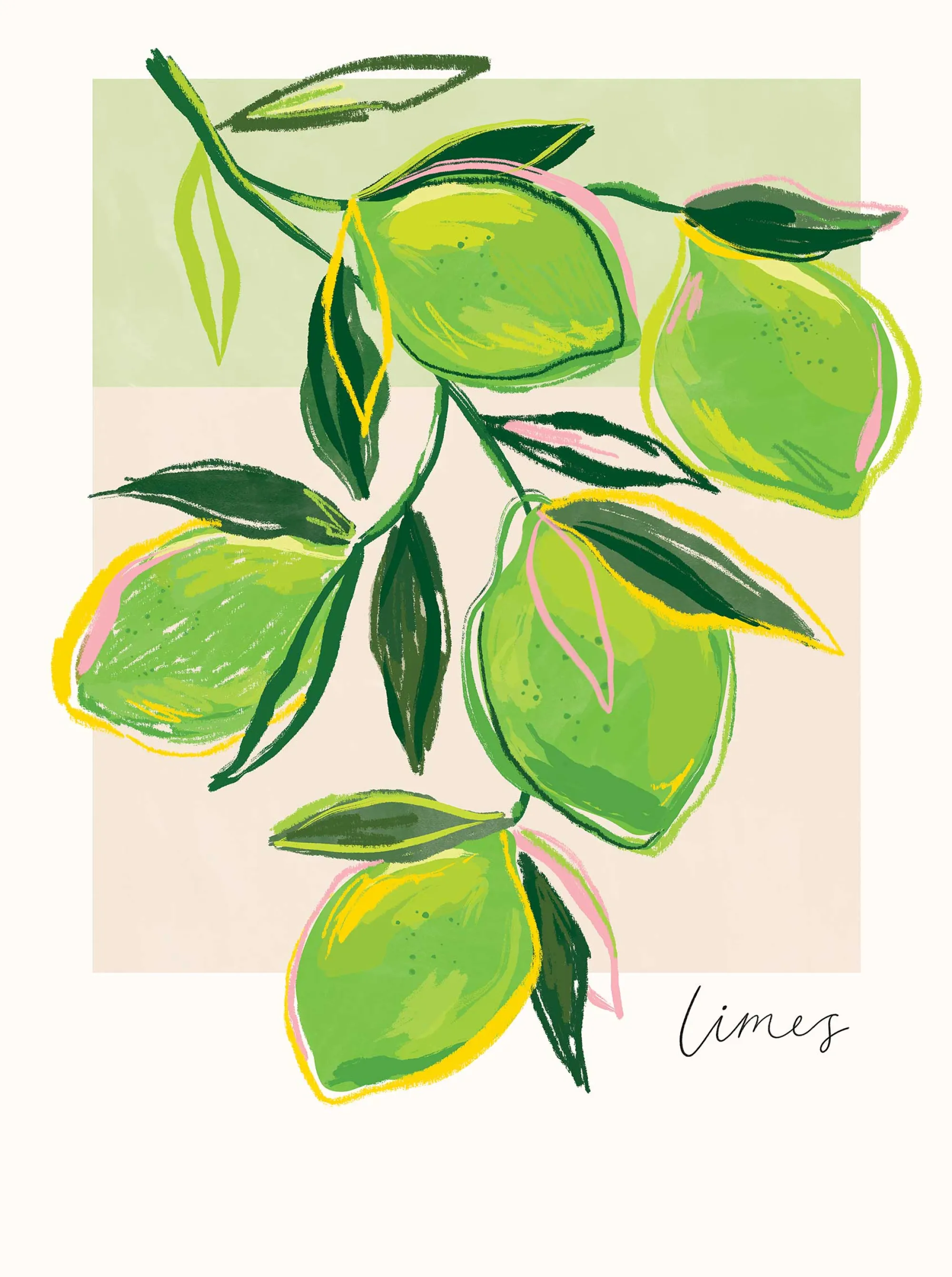 Framed Prints*Whistlefish Limes Framed Print