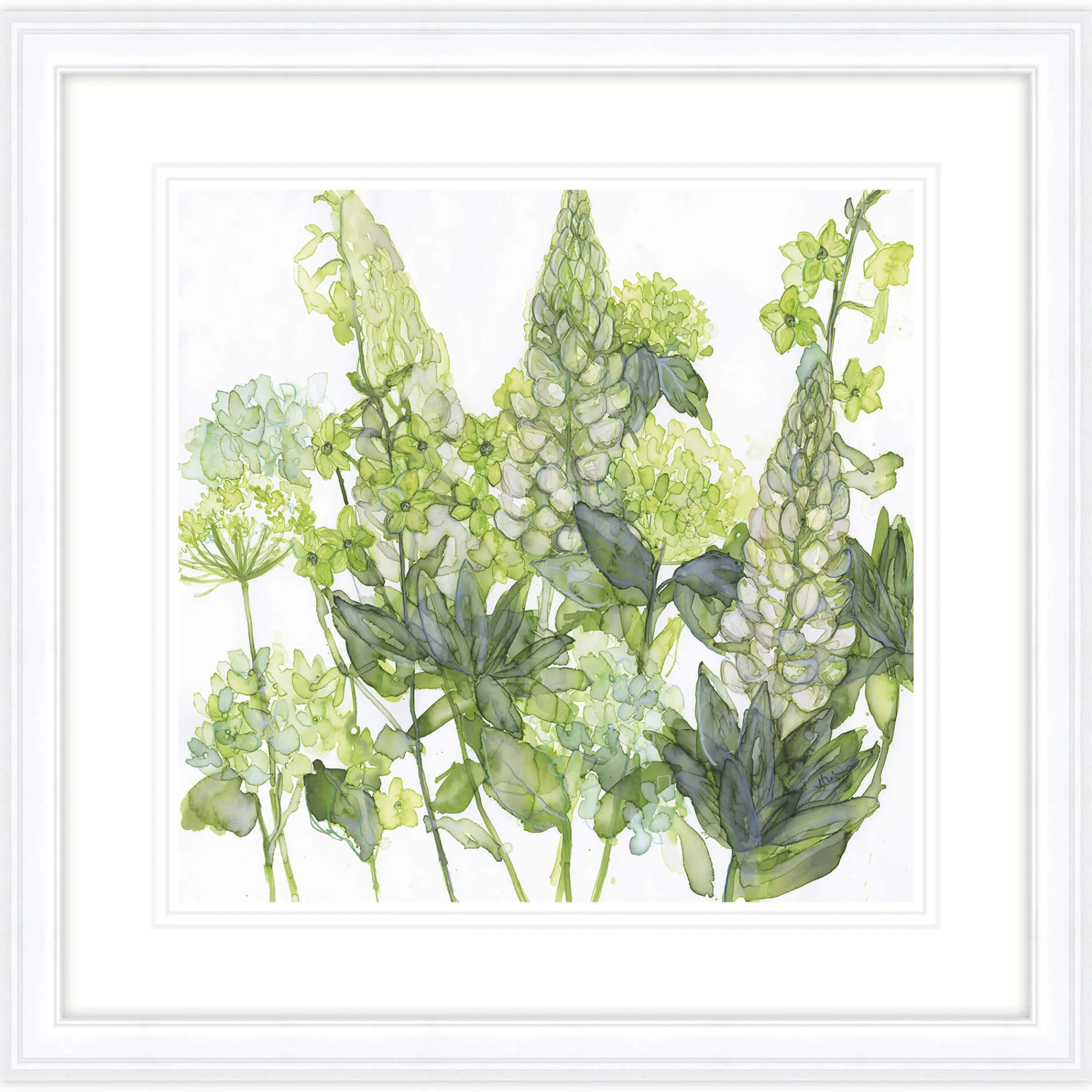 Floral & Flowers|Framed Prints*Whistlefish Lupin Hydrangea & Nicotiria Framed Print
