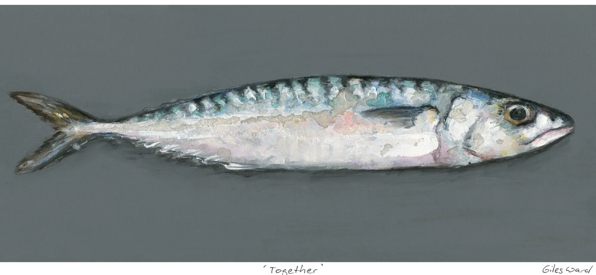 Unframed Prints*Whistlefish Mackerel Together Art Print