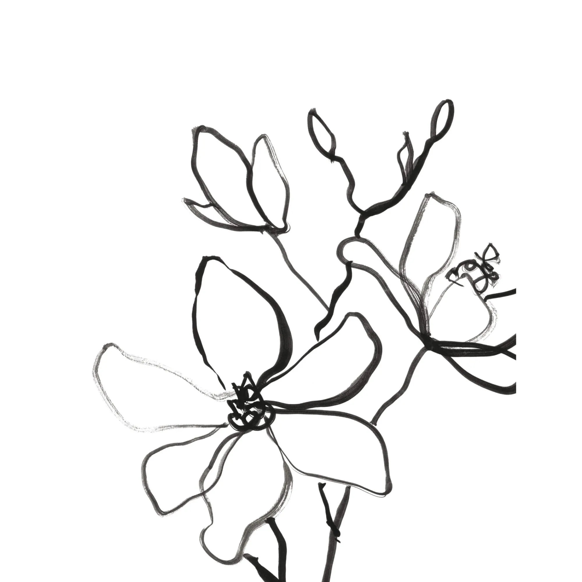 Unframed Prints*Whistlefish Magnolia Art Print