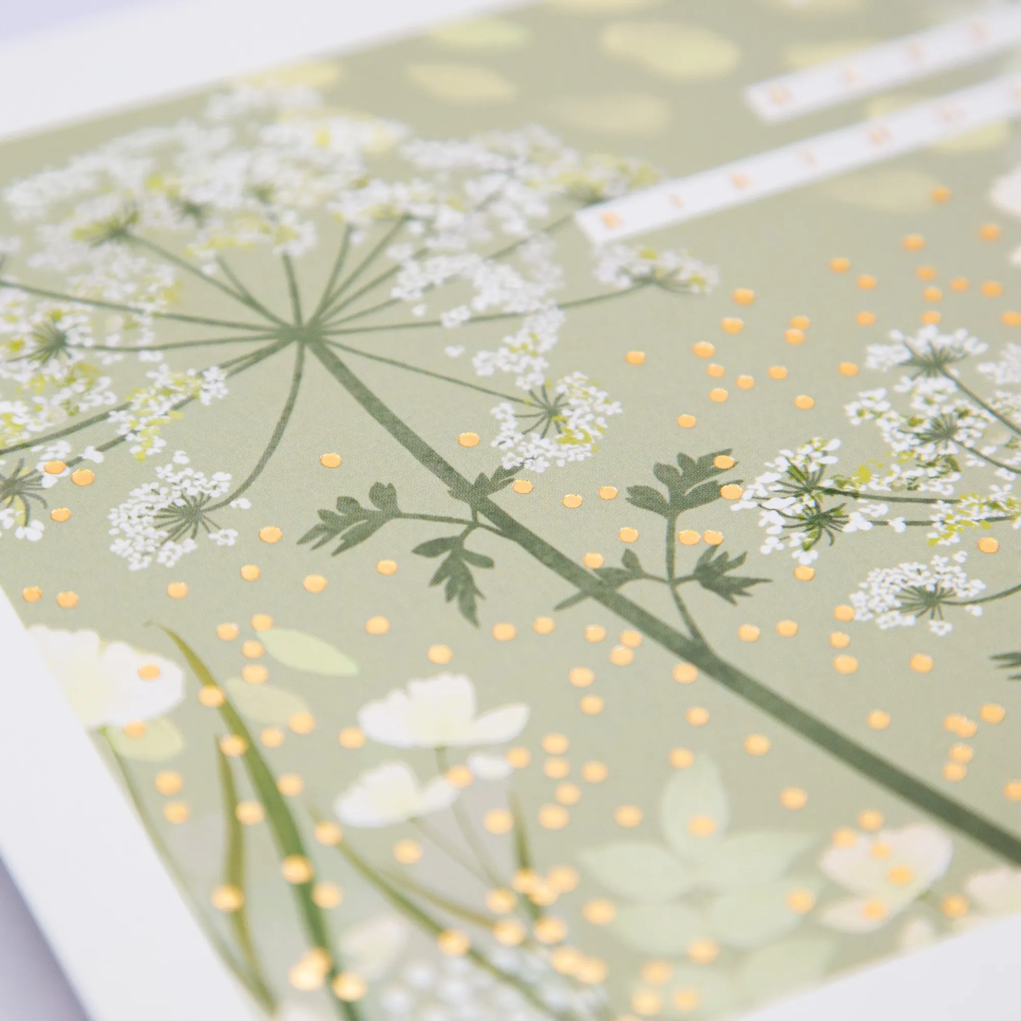Birthday*Whistlefish Meadow Whisper Birthday Card