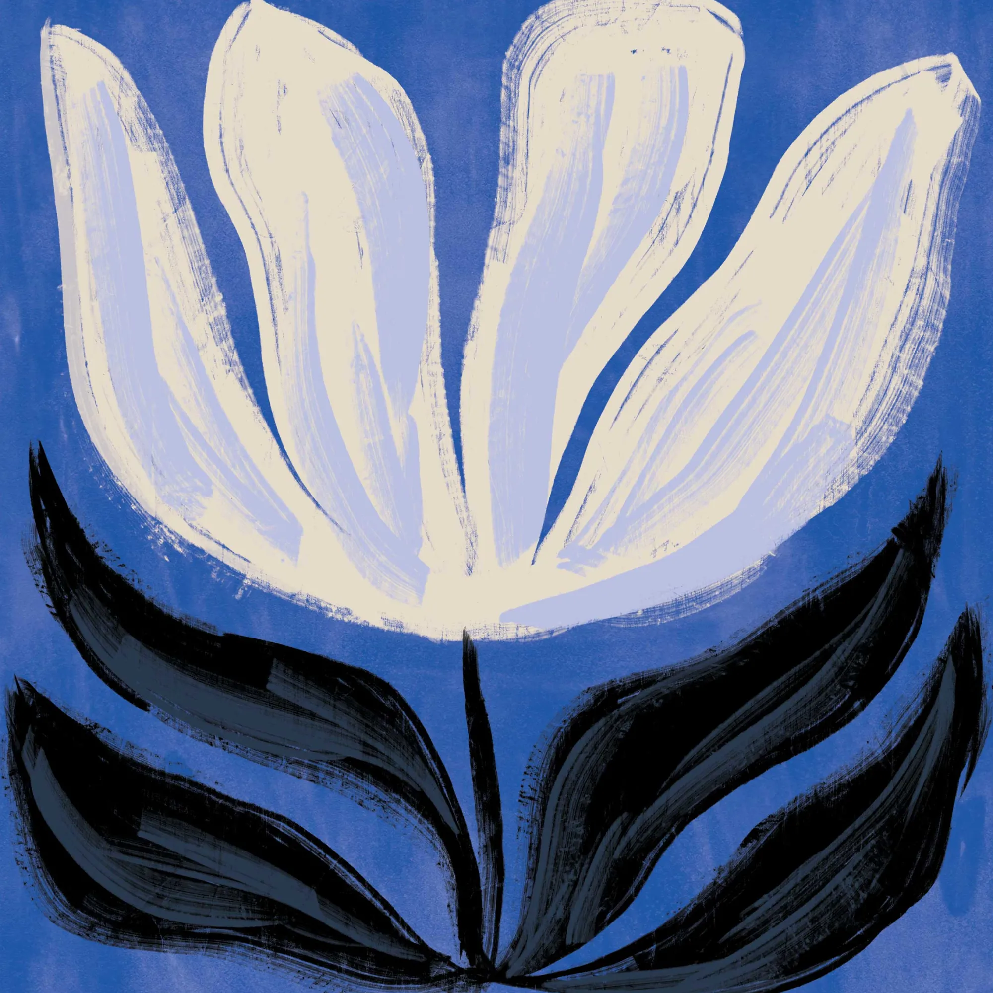 Floral & Flowers|Framed Prints*Whistlefish Midnight Bloom Framed Print