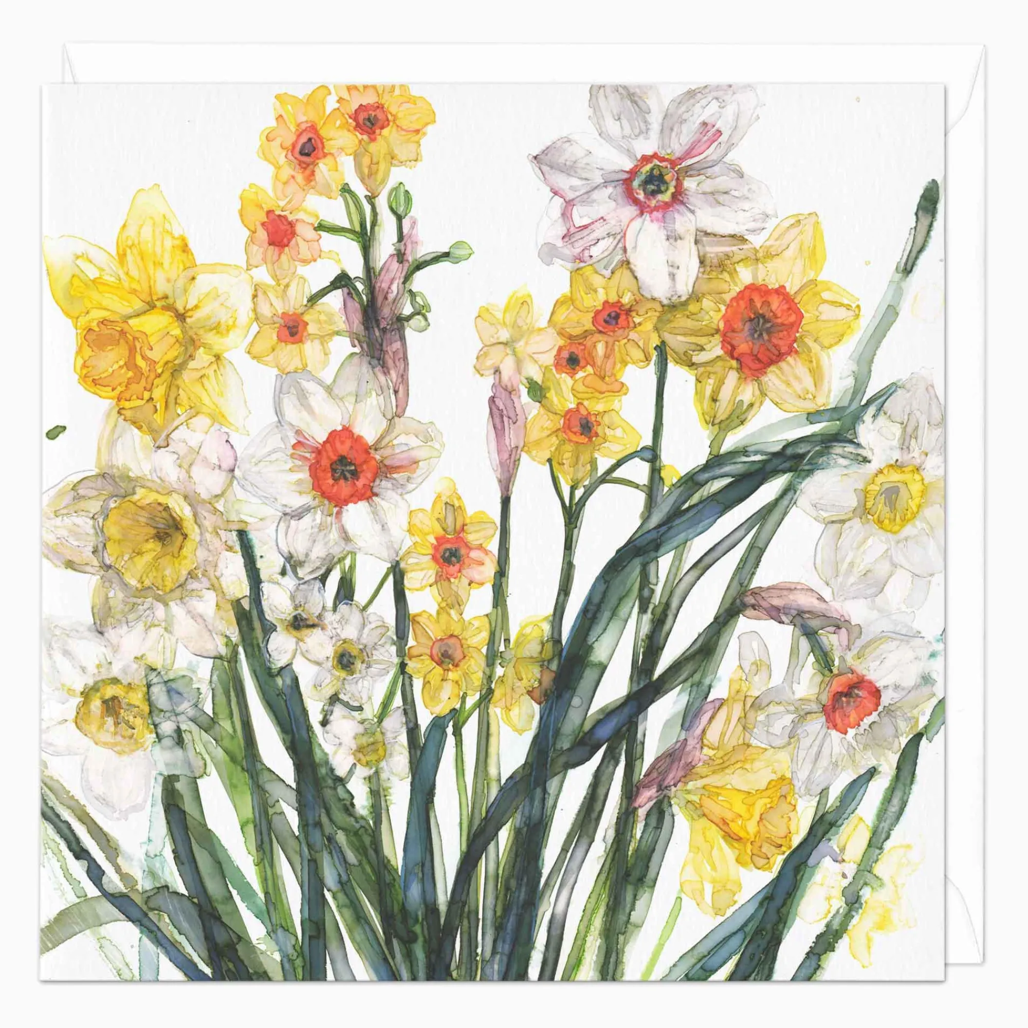Easter*Whistlefish Mixed Daffodils Art Card