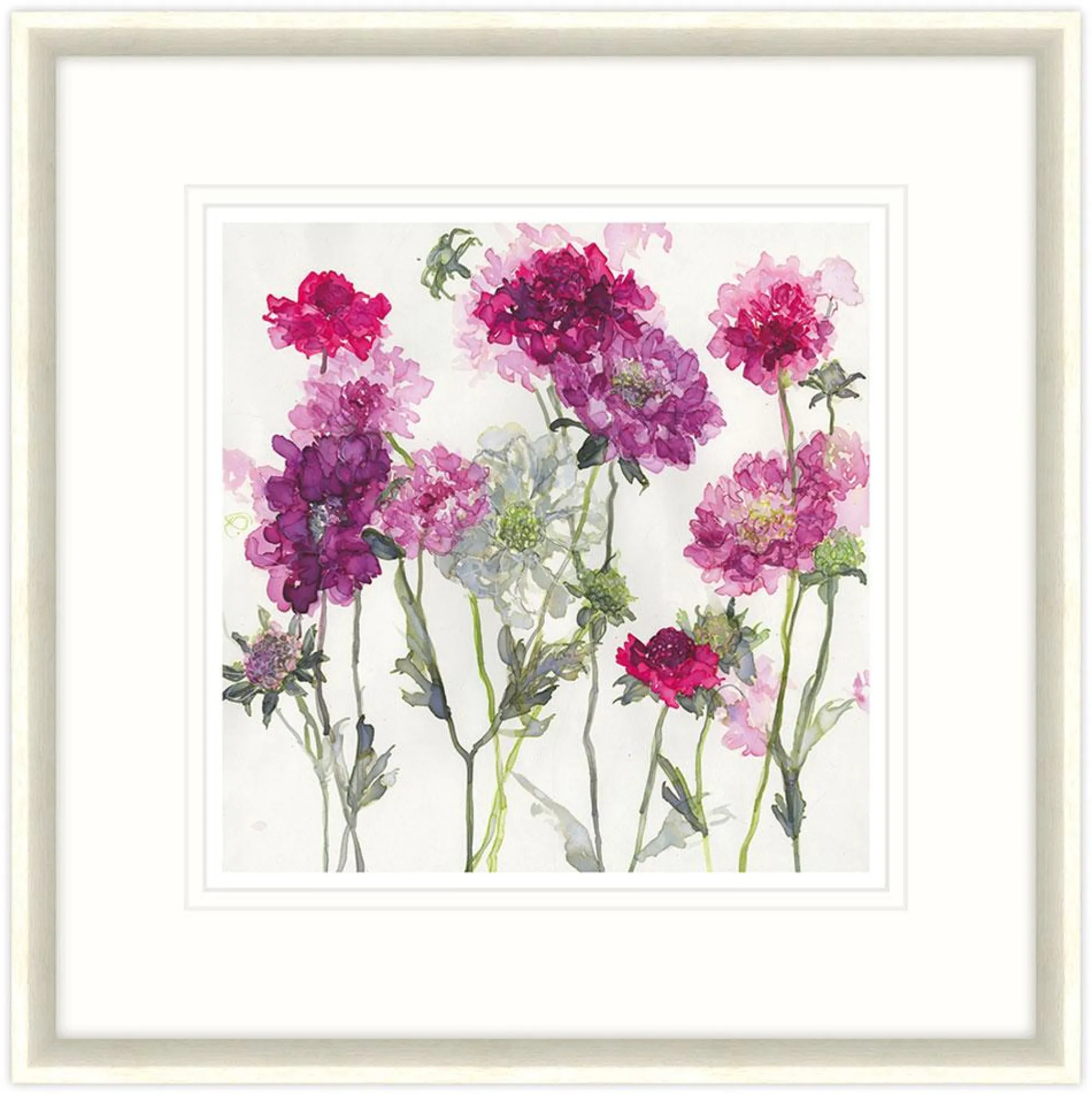 Framed Prints*Whistlefish Mixed Scabious Floral Framed Print
