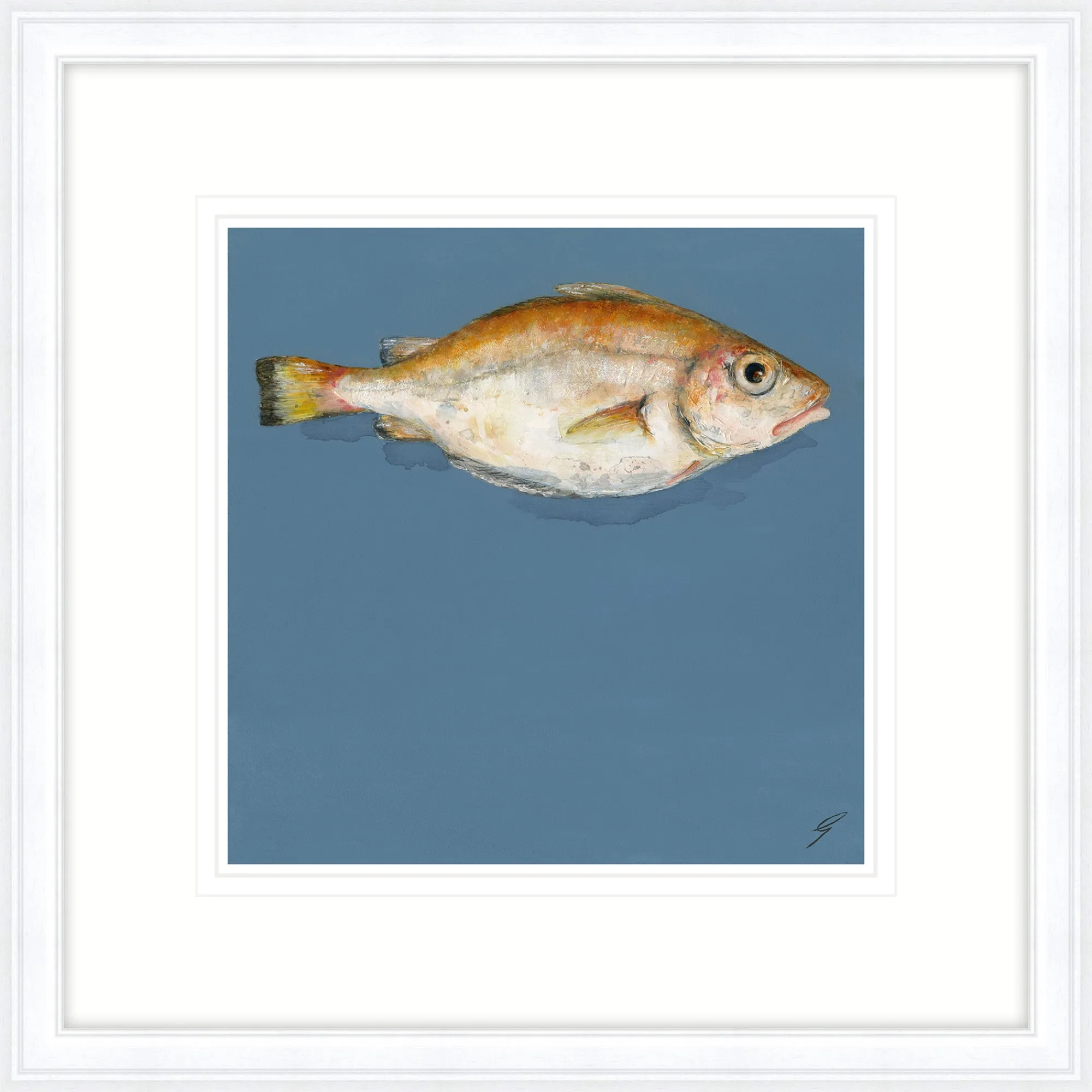Animal|Framed Prints*Whistlefish One Pouting Framed Print