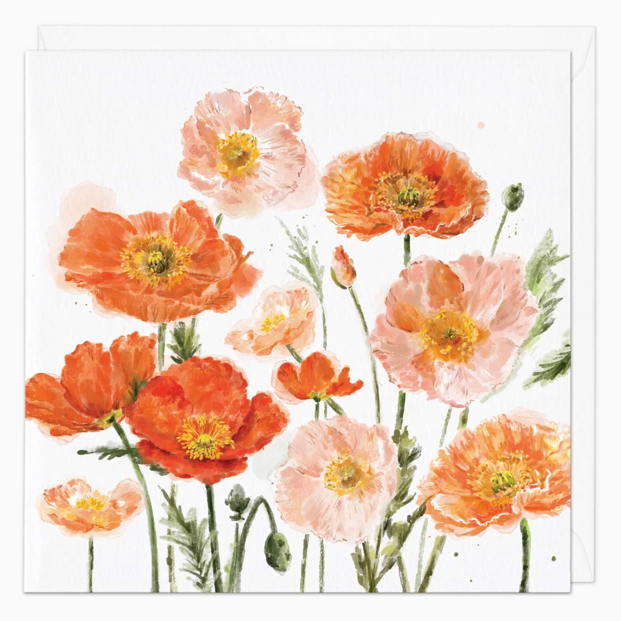 Mother's Day*Whistlefish Orange Poppies Art Card