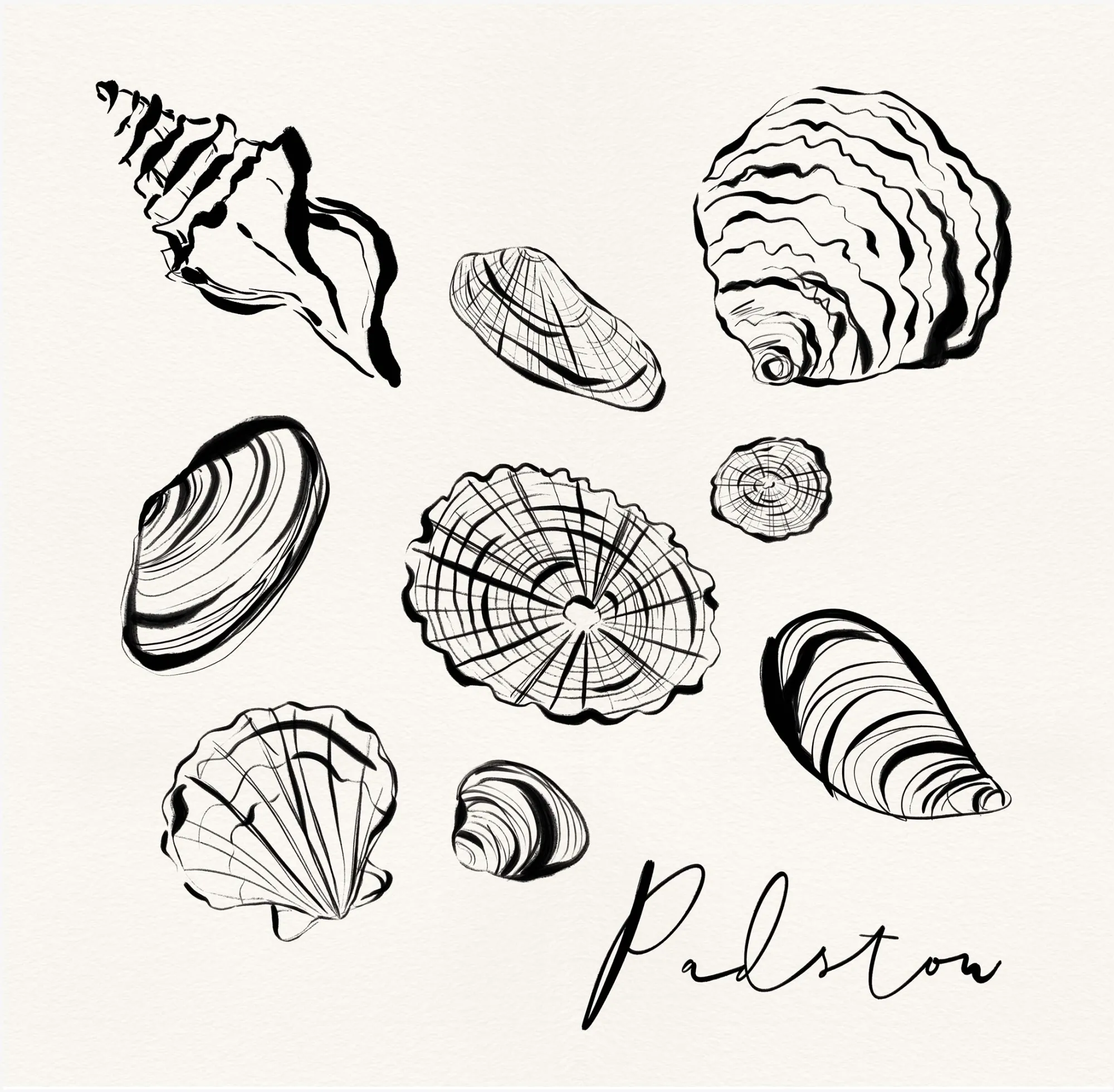 Padstow|Inky Lines*Whistlefish Padstow Shells Framed Print