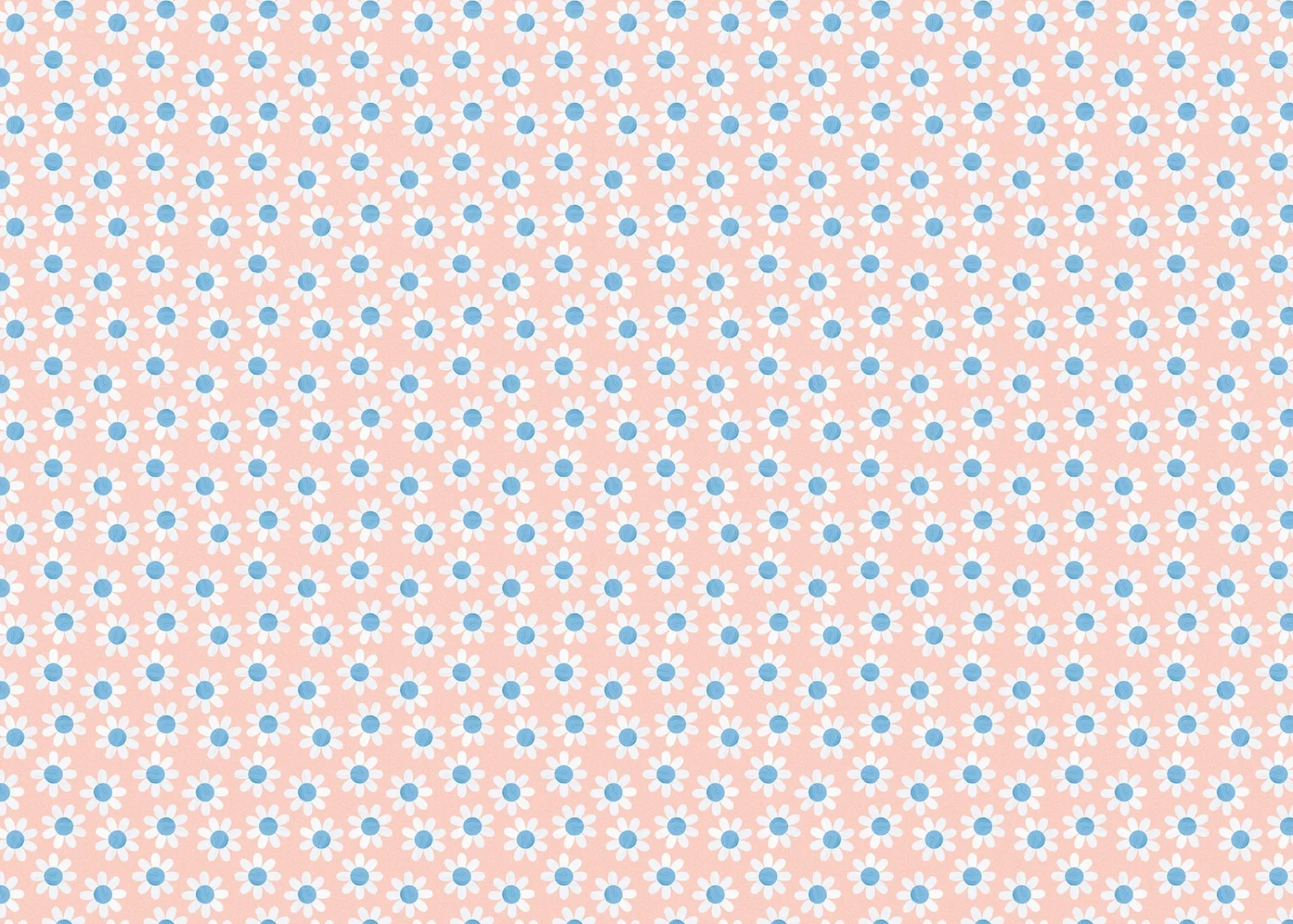 Gift Wrap|Birthday*Whistlefish Peachfuzz Daisy Wrapping Paper