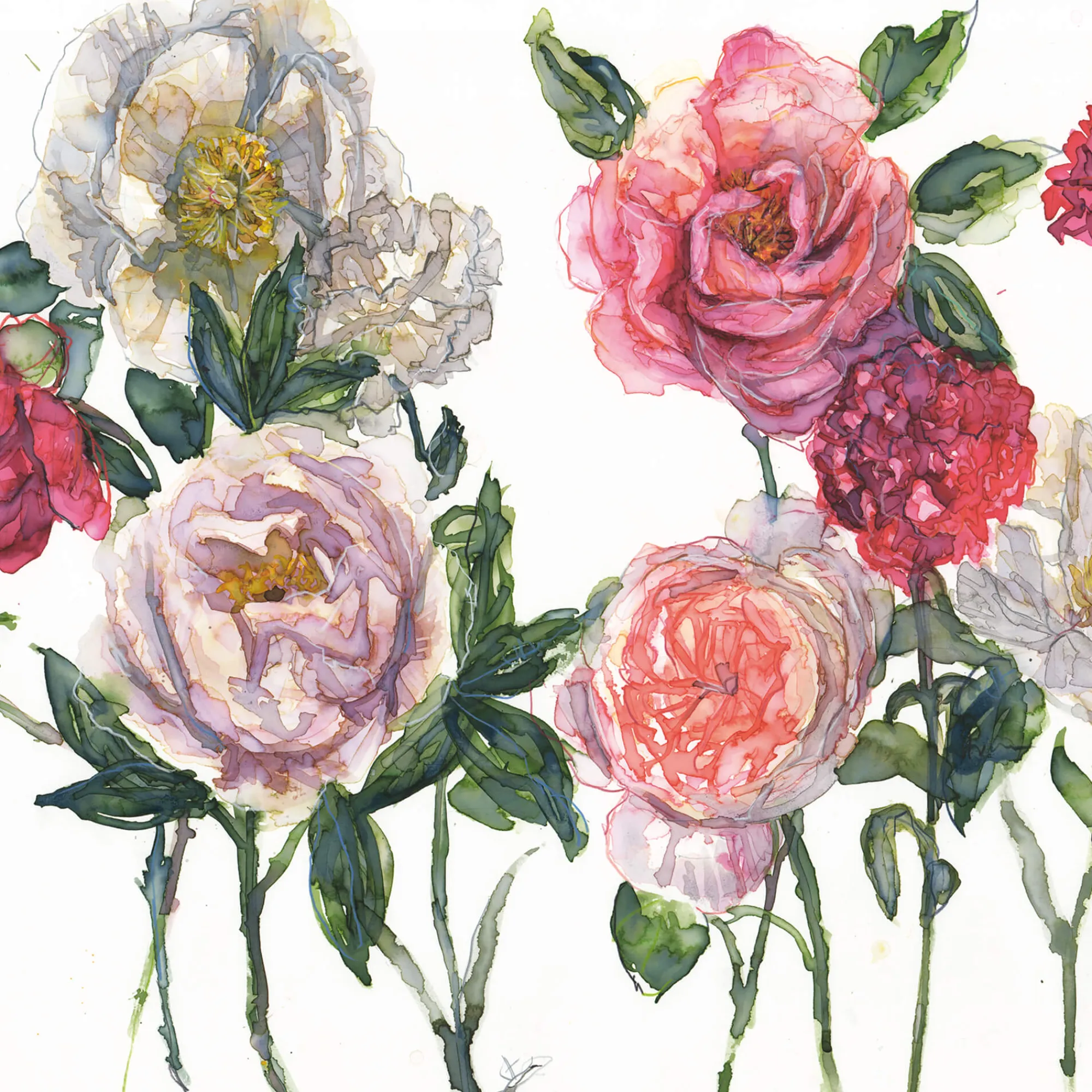 Unframed Prints*Whistlefish Peonies, Rose & Carnations Art Print
