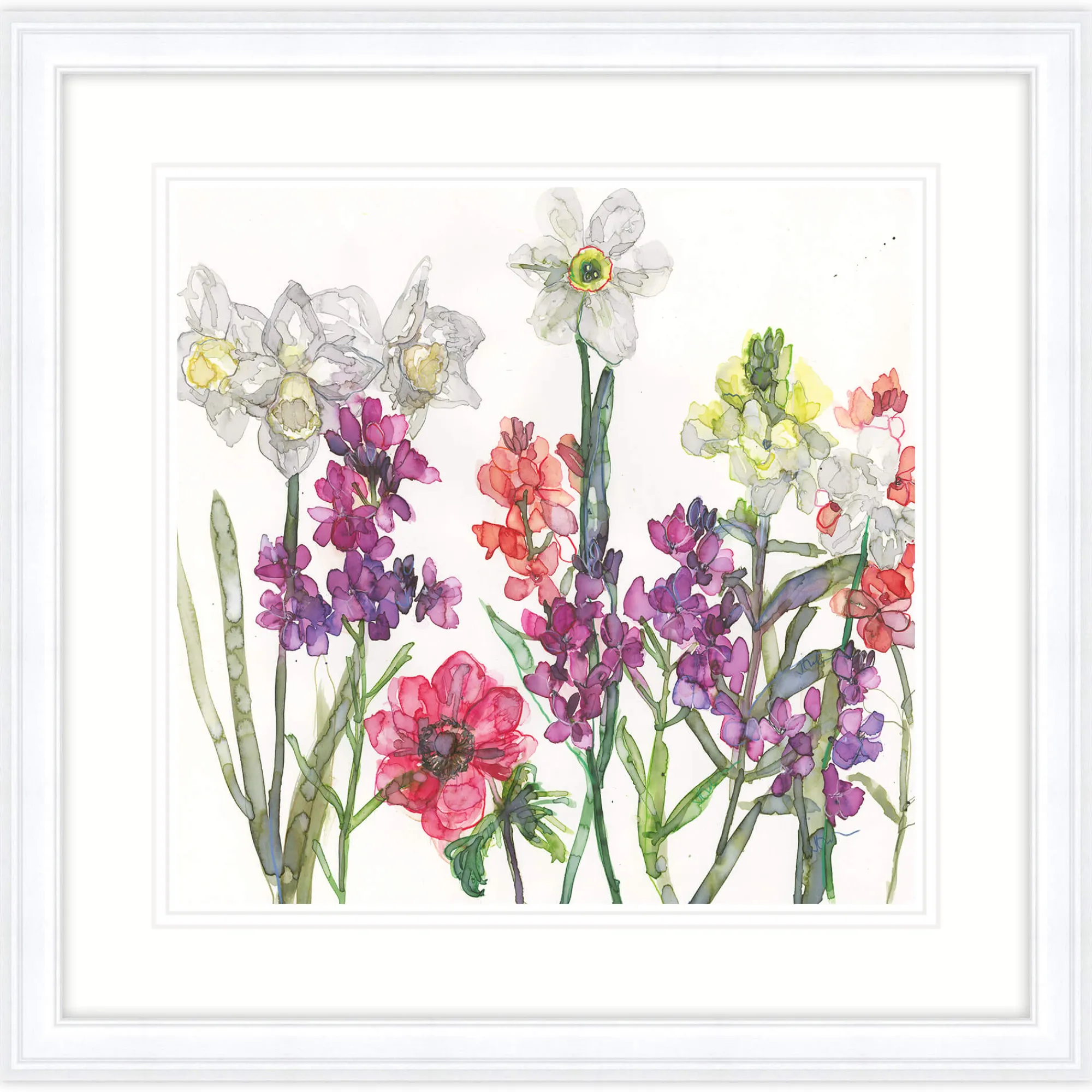 Floral & Flowers|Framed Prints*Whistlefish Pheasants Eye Framed Print