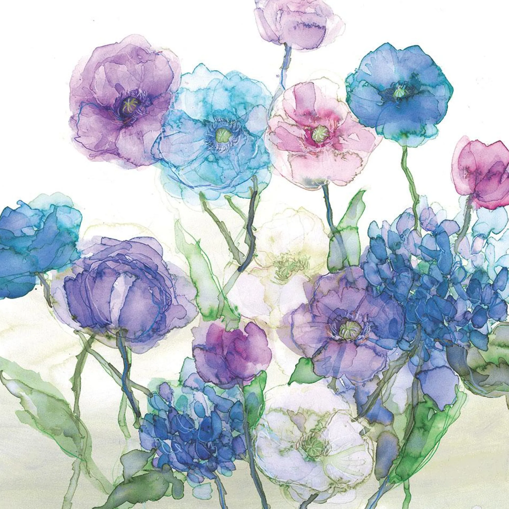 Unframed Prints*Whistlefish Poppies & Hydrangeas Art Print