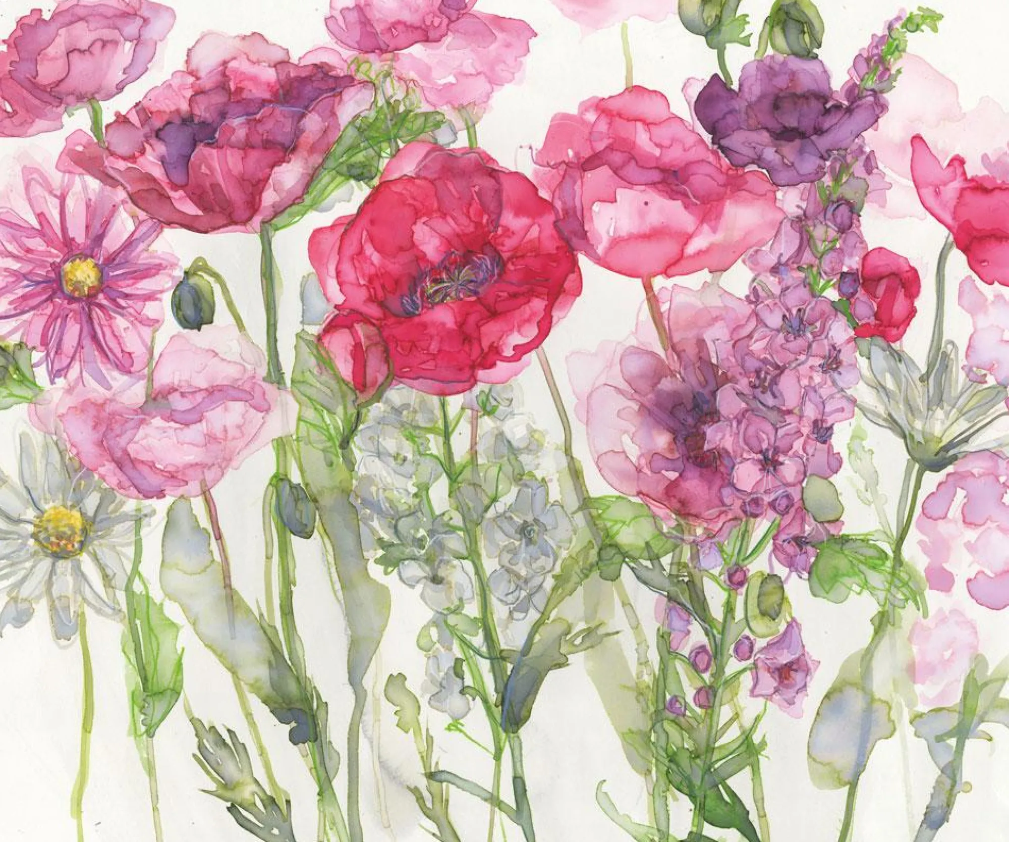 Unframed Prints*Whistlefish Poppies, Verbascum & Daises Art Print