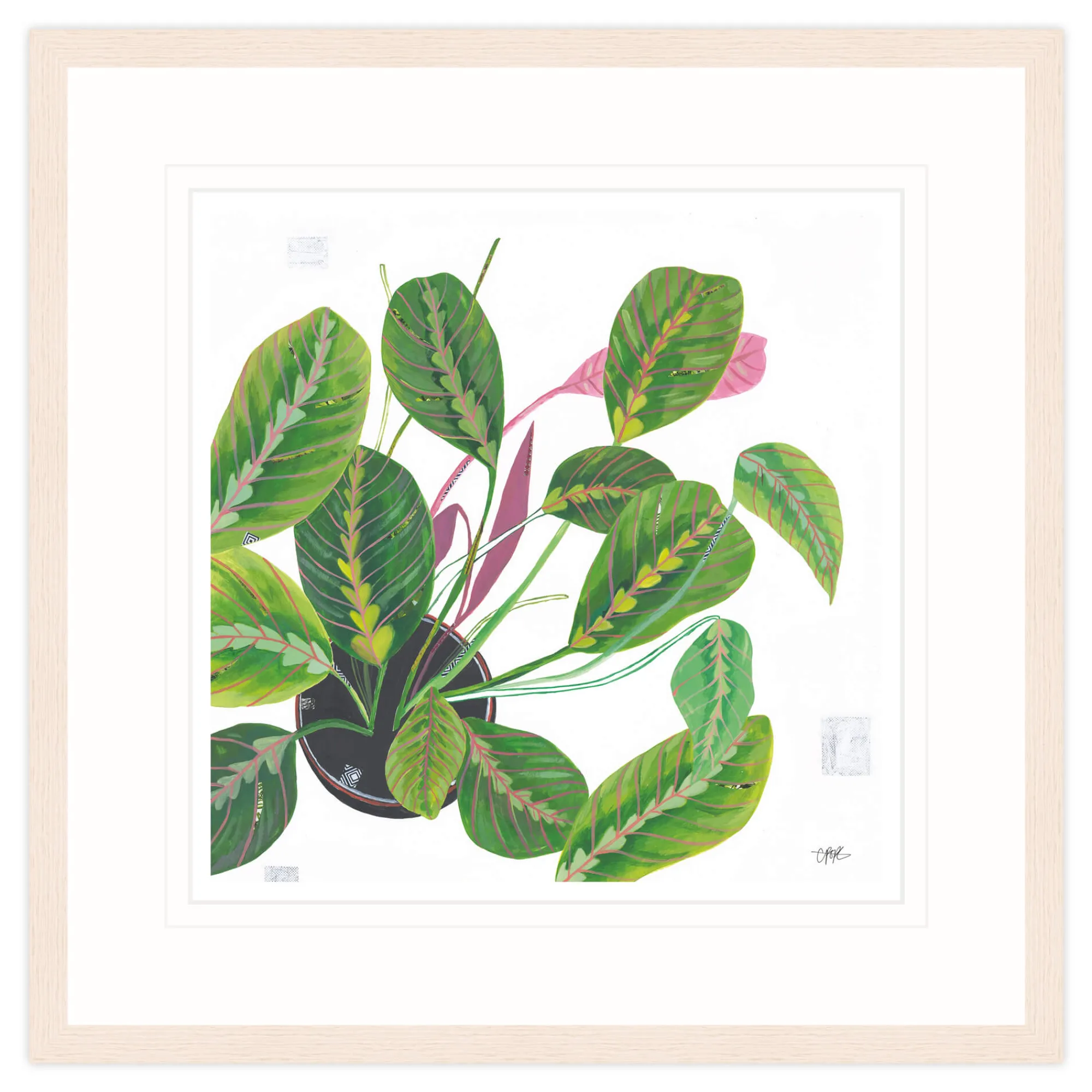 Floral & Flowers|Framed Prints*Whistlefish Prayer Plant Framed Print