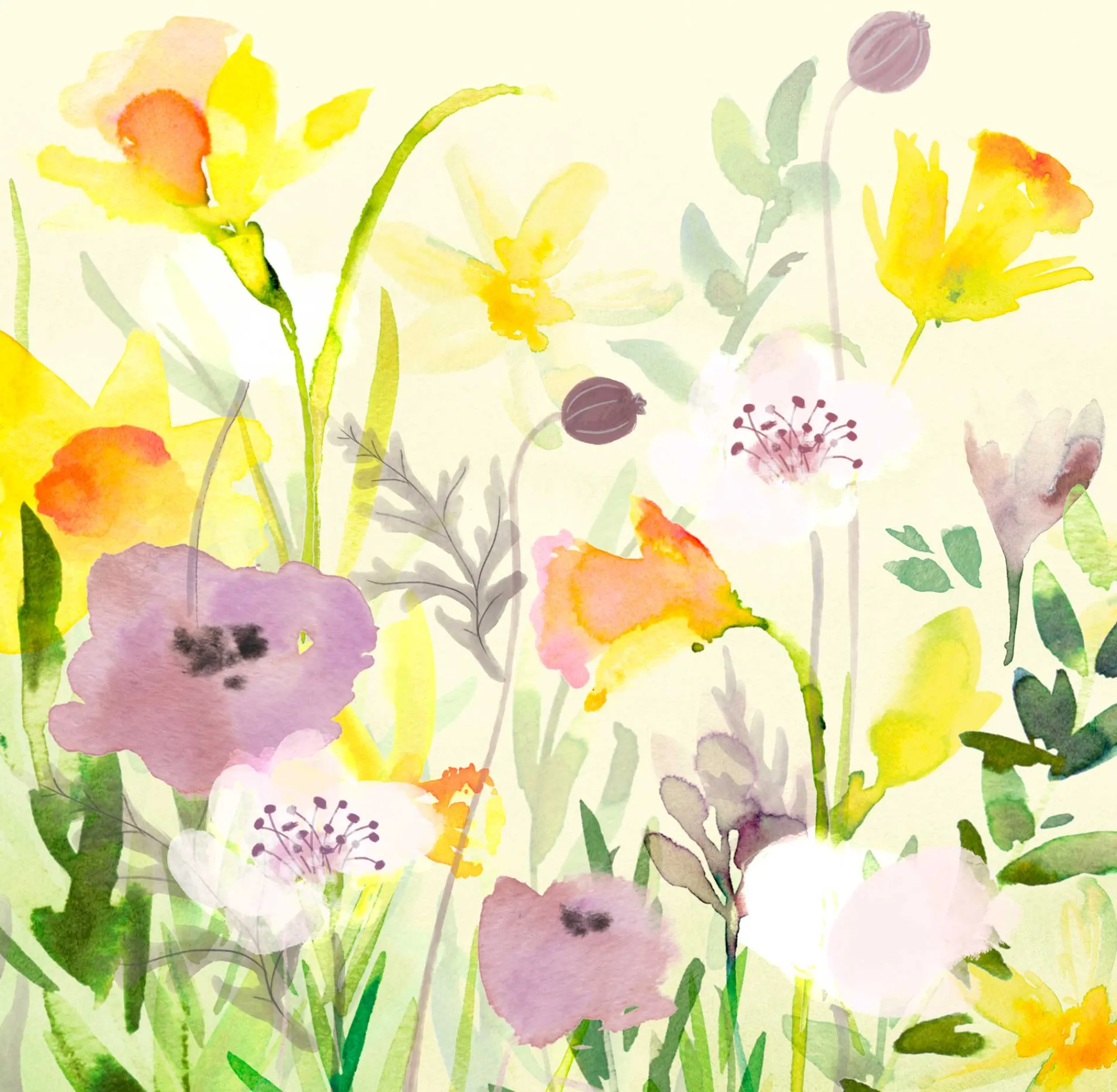 Unframed Prints*Whistlefish Purple Crocus Med Art Print