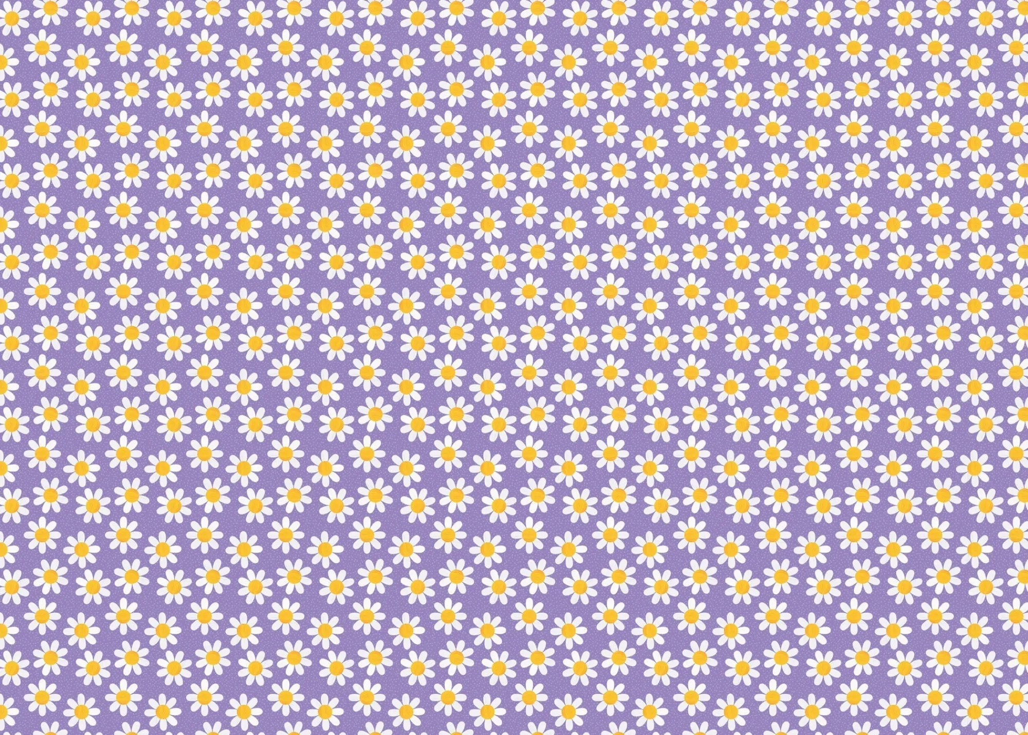 Gift Wrap|Birthday*Whistlefish Purple Daisy Wrapping Paper