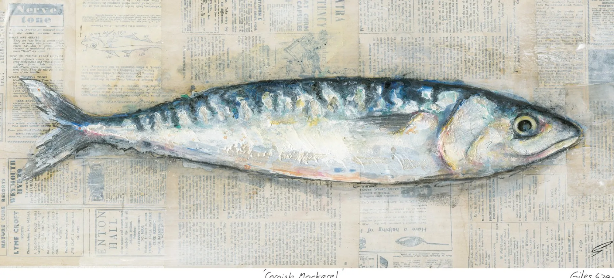 Unframed Prints*Whistlefish Realistic Cornish Mackerel Art Print