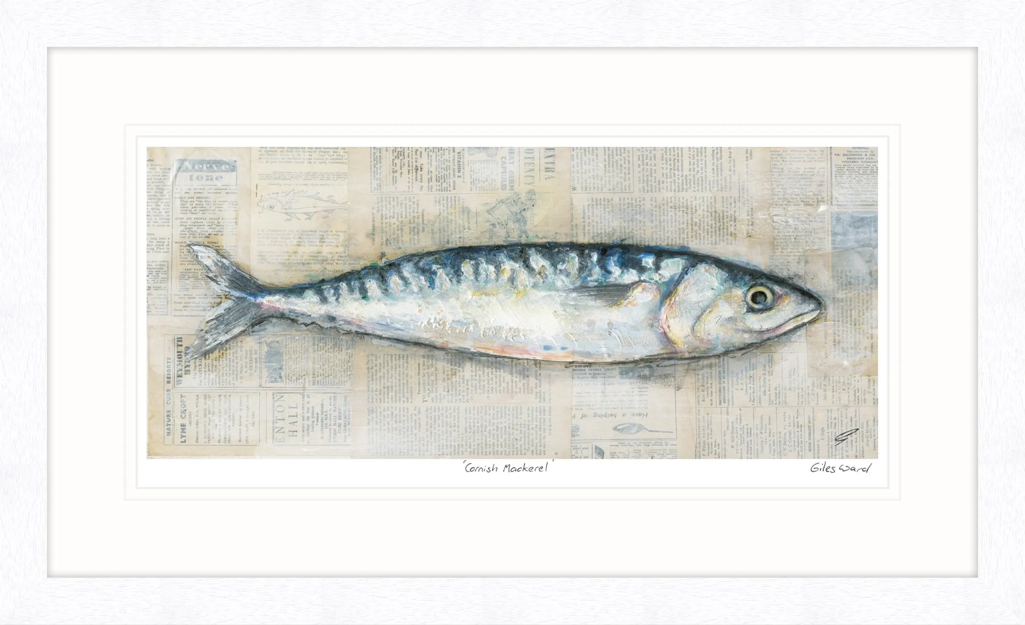 Animal|Framed Prints*Whistlefish Realistic Cornish Mackerel Framed Print