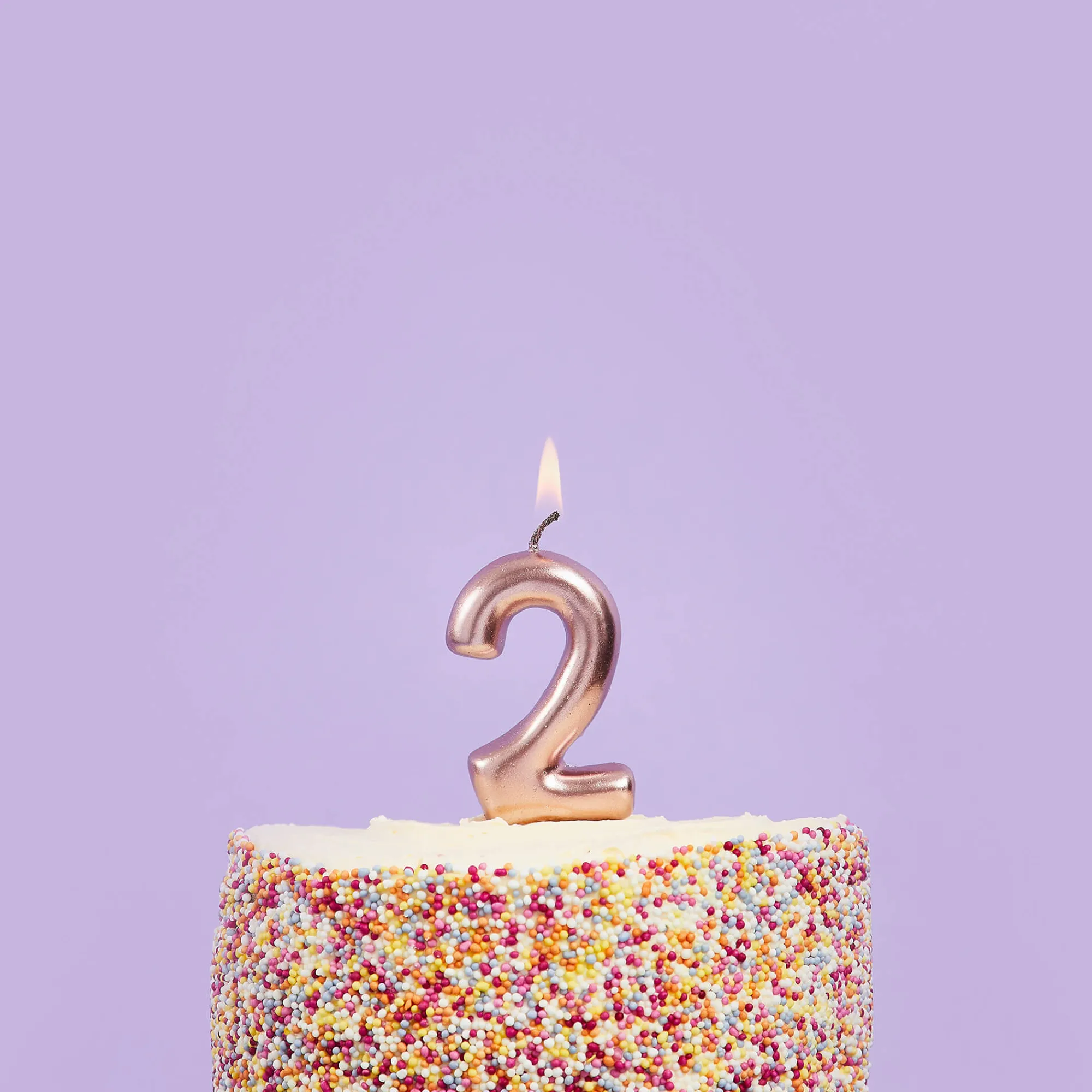 Cake Topper|Birthday Candles*Whistlefish Rose Gold Number 2 Candle