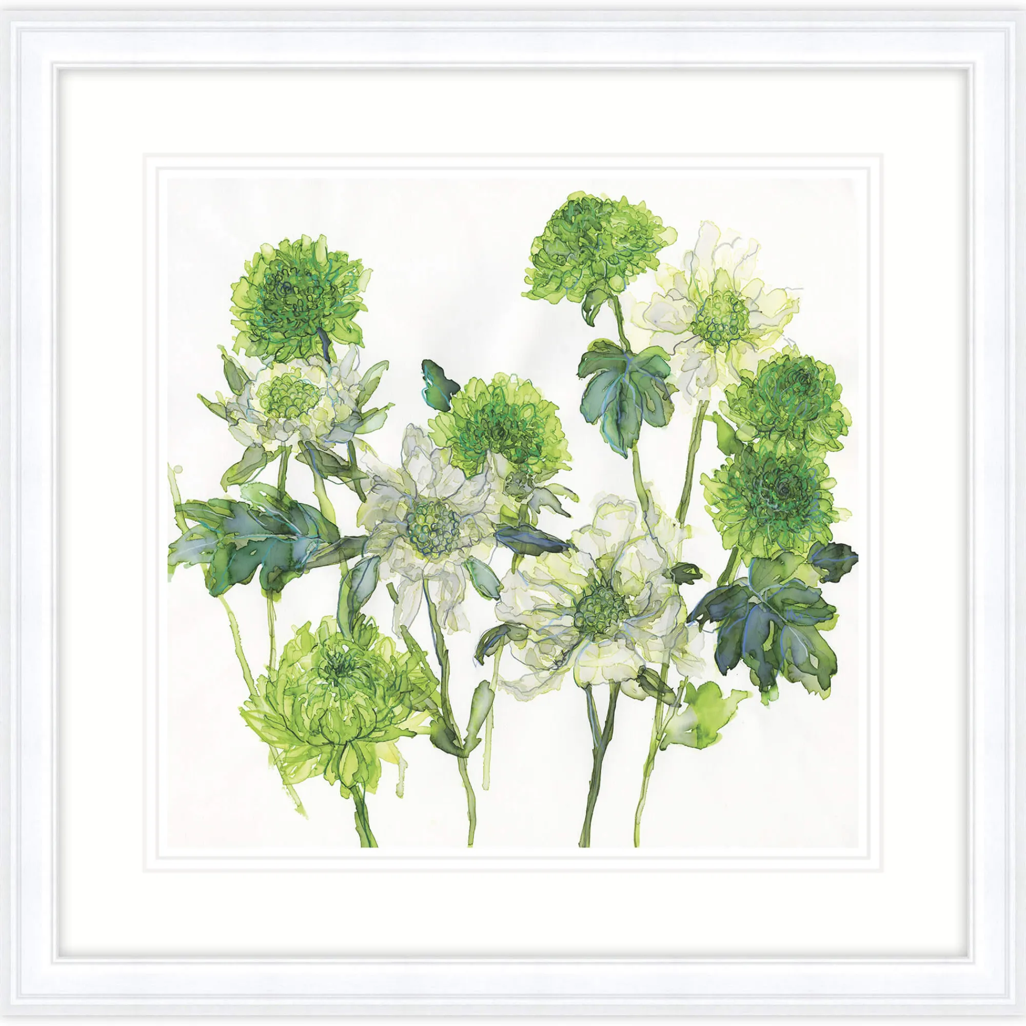 Floral & Flowers|Framed Prints*Whistlefish Scabious & Chrysanthemum Framed Print