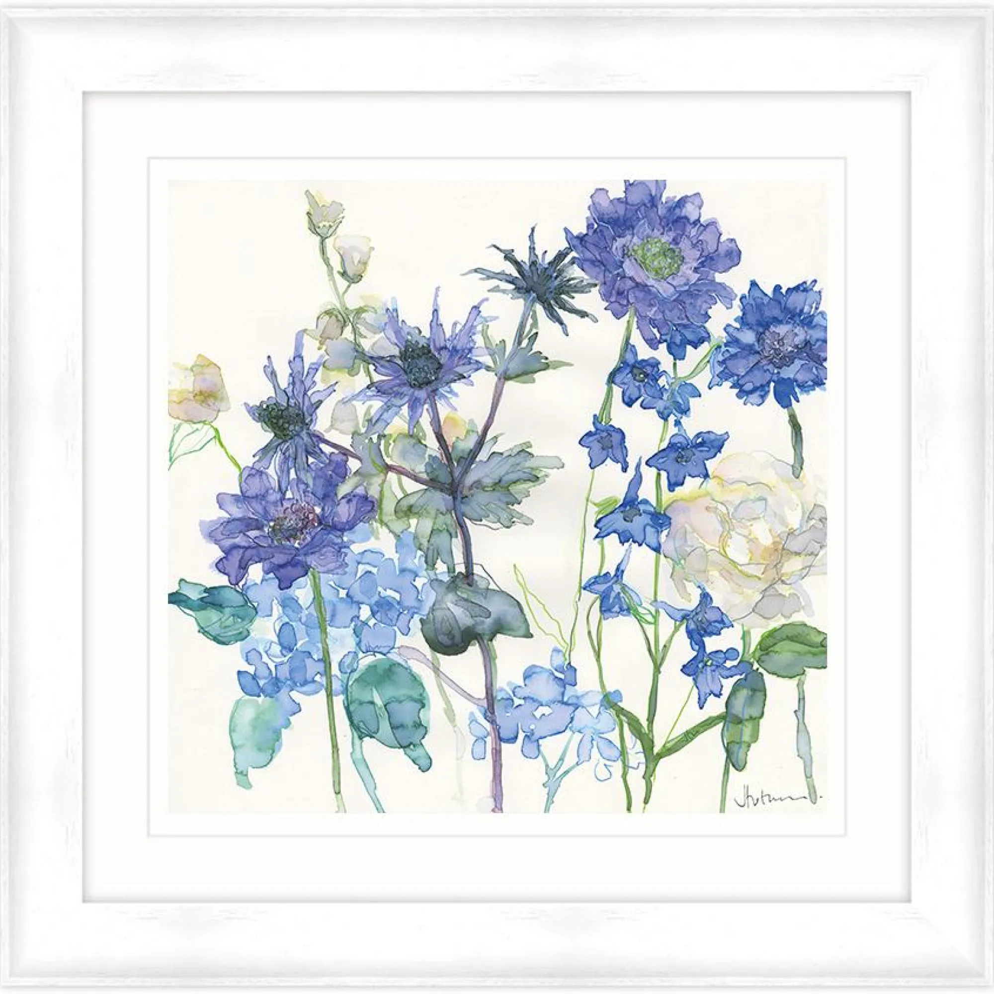 Framed Prints*Whistlefish Sea Holly And Larkspur Framed Print