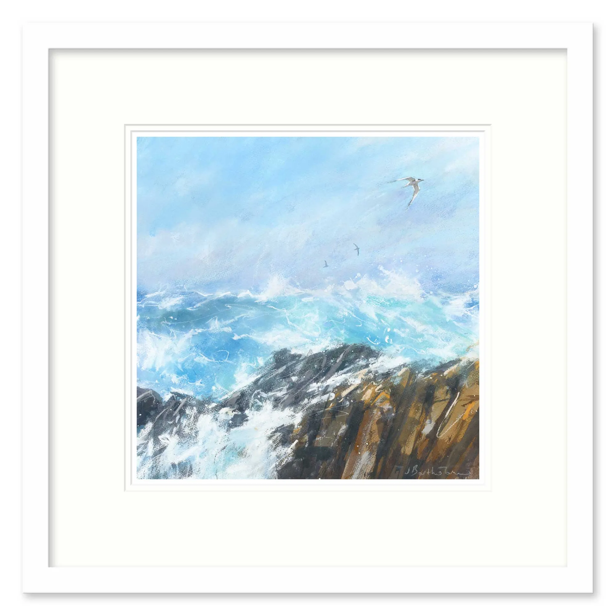 Coastal Scenes|Framed Prints*Whistlefish Seabird Over Rocks Framed Print