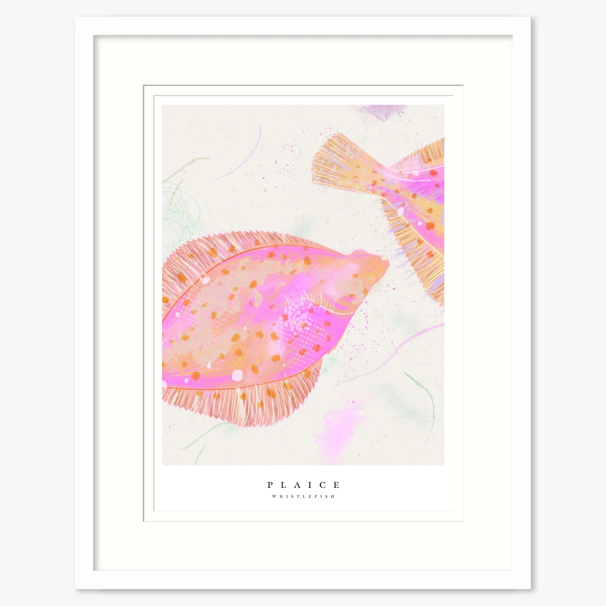 Seagrass|Coastal Scenes*Whistlefish Seagrass Plaice Large Framed Print