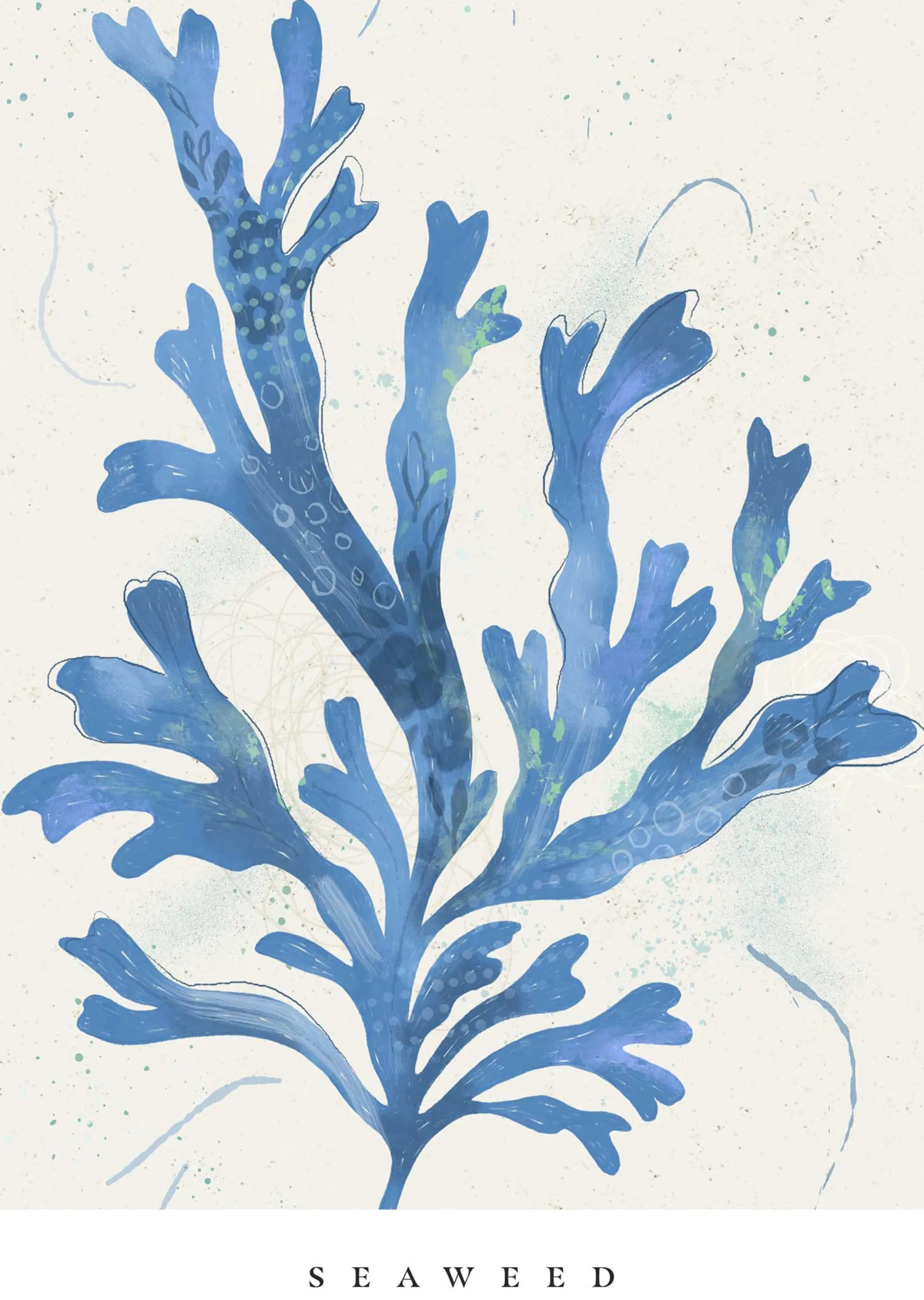 Seagrass|Unframed Prints*Whistlefish Seagrass Seaweed Small Art Print