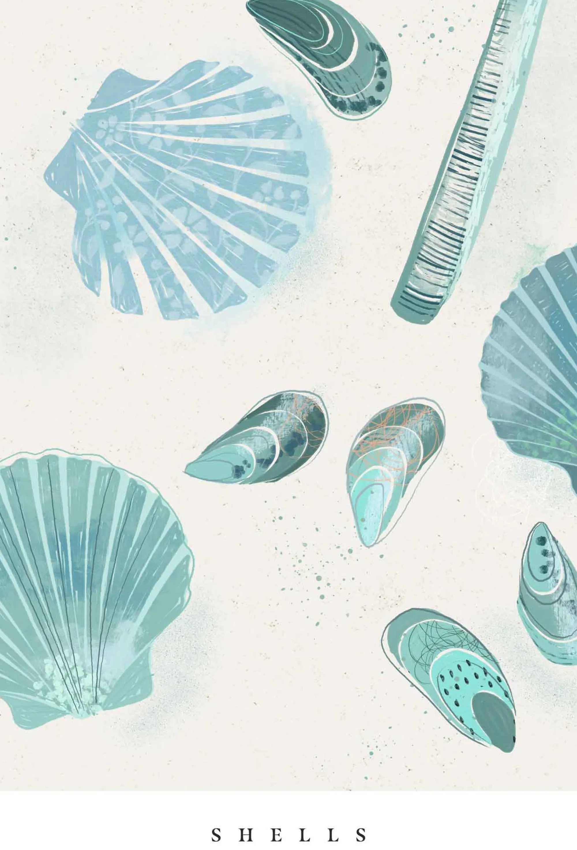 Seagrass|Unframed Prints*Whistlefish Seagrass Shells Small Art Print