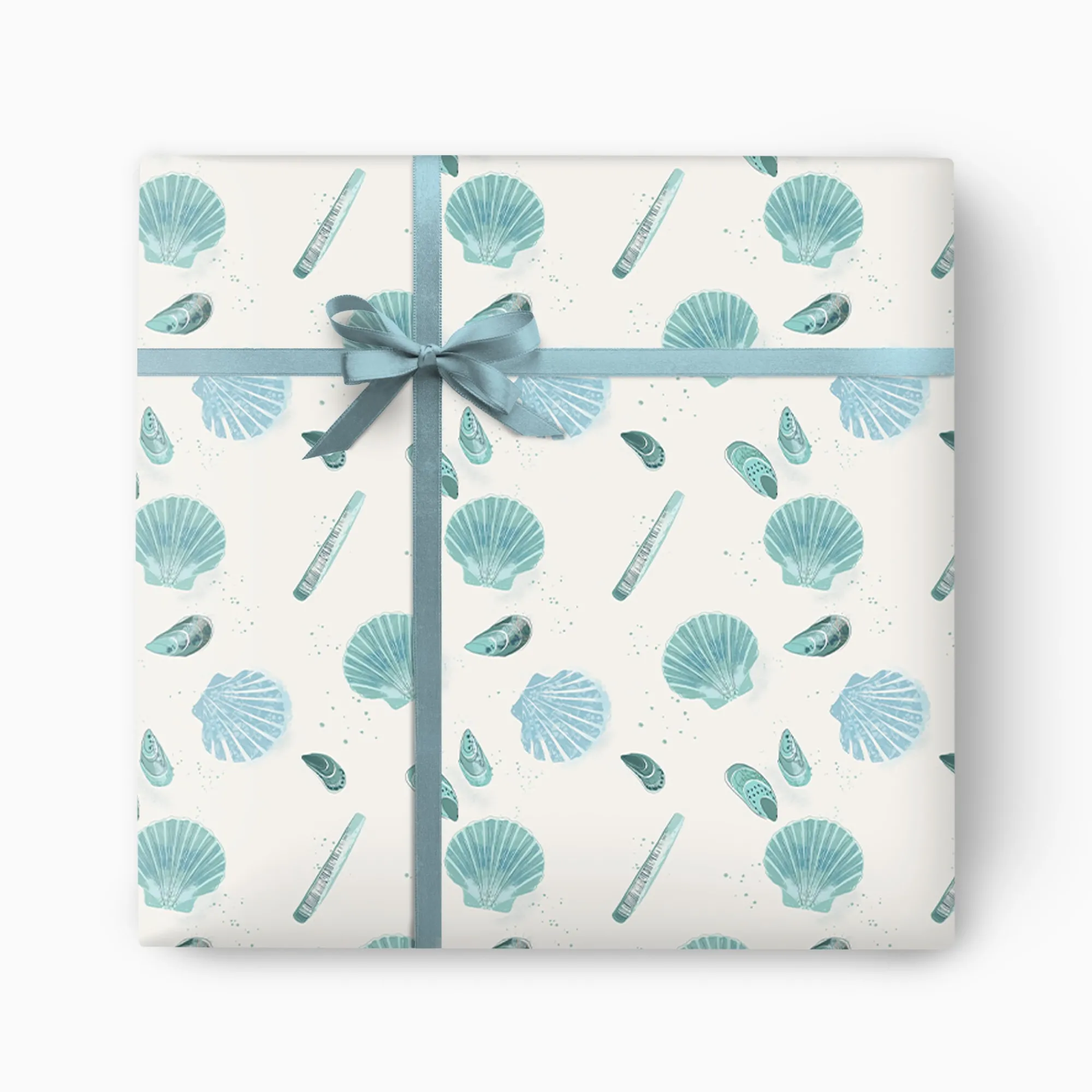 Gift Wrap|For Children*Whistlefish Seagrass Shells Wrapping Paper