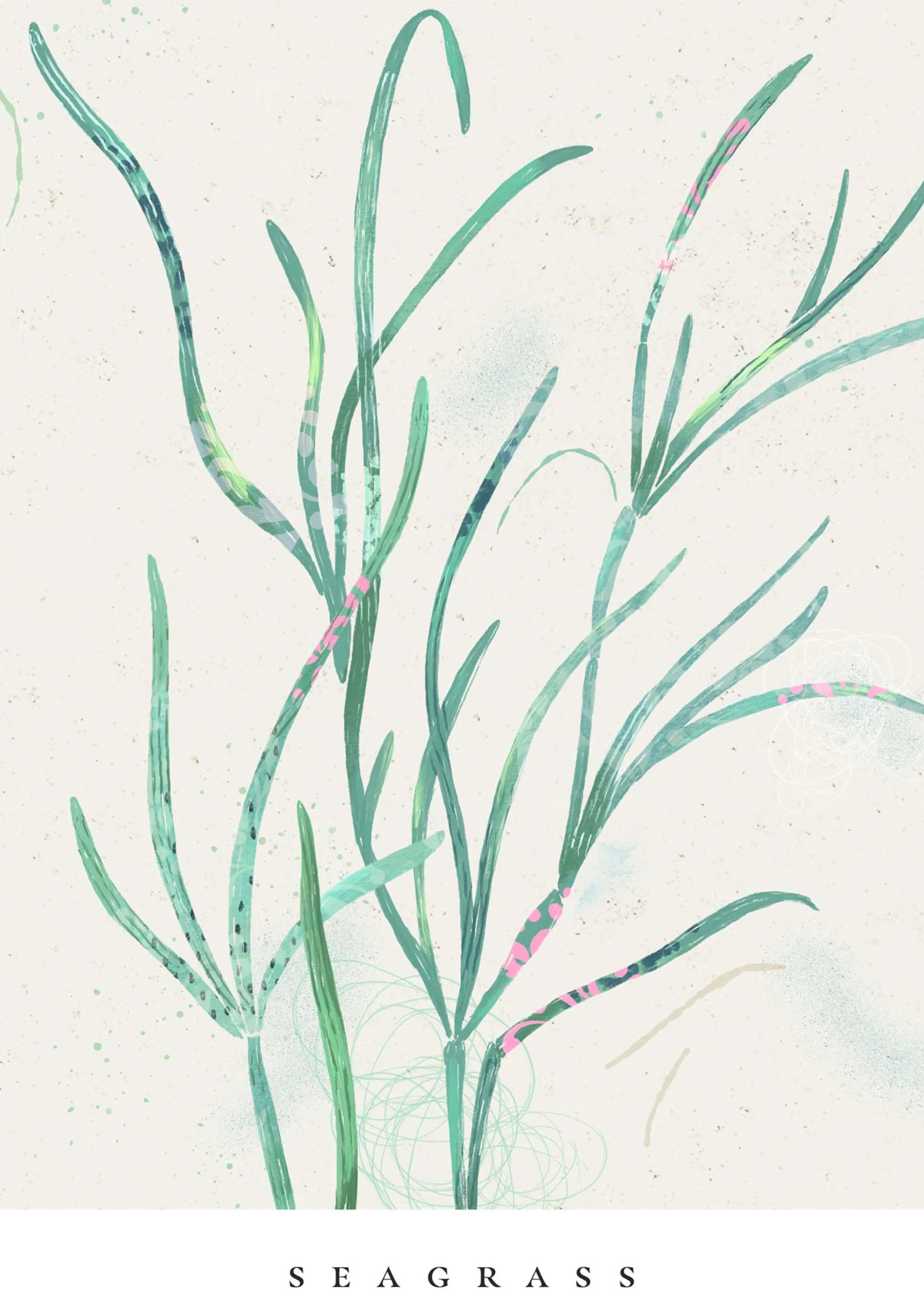Seagrass|Floral & Flowers*Whistlefish Seagrass Small Framed Print