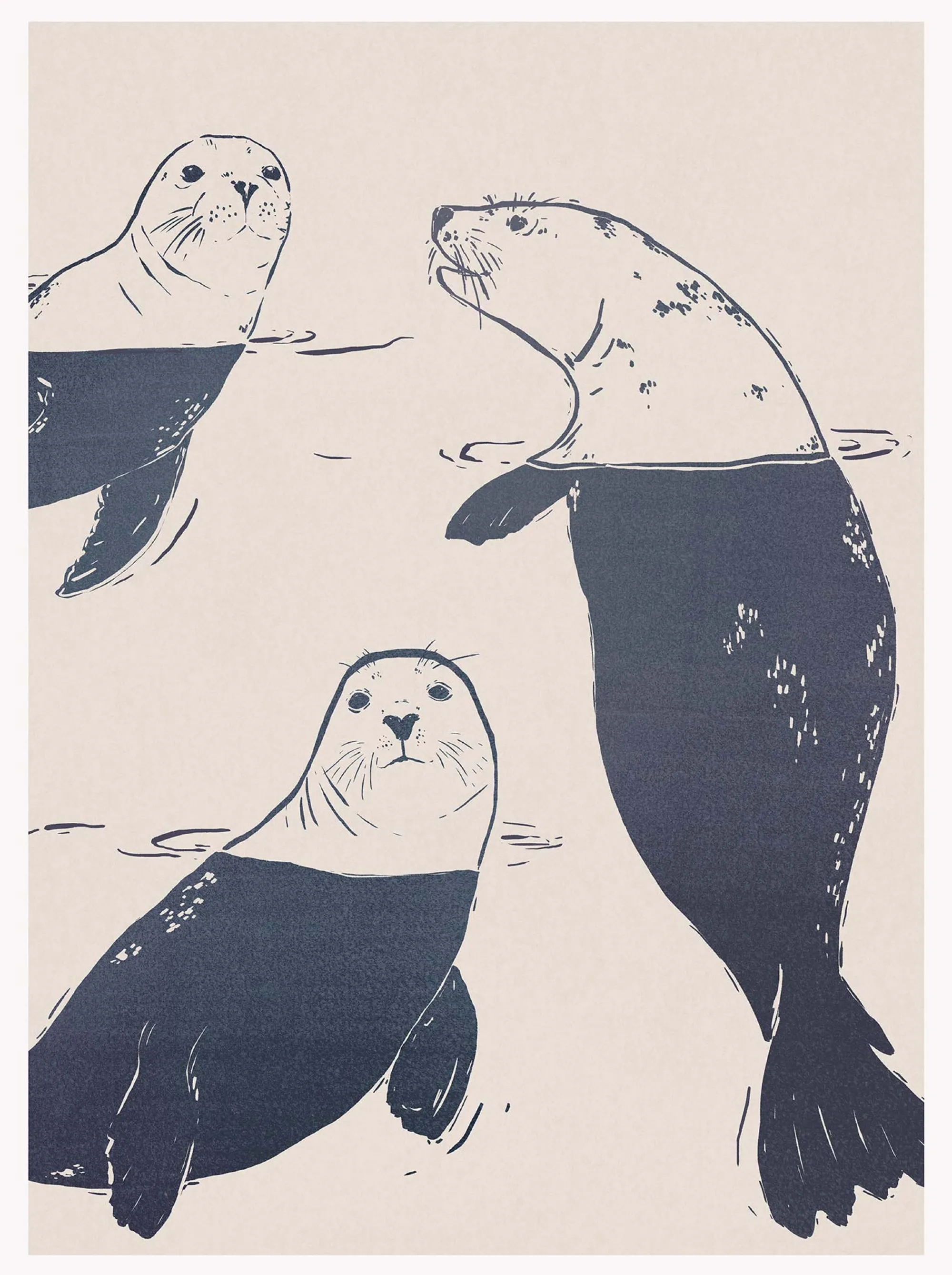 Animal|Framed Prints*Whistlefish SeaLions Large Framed Print