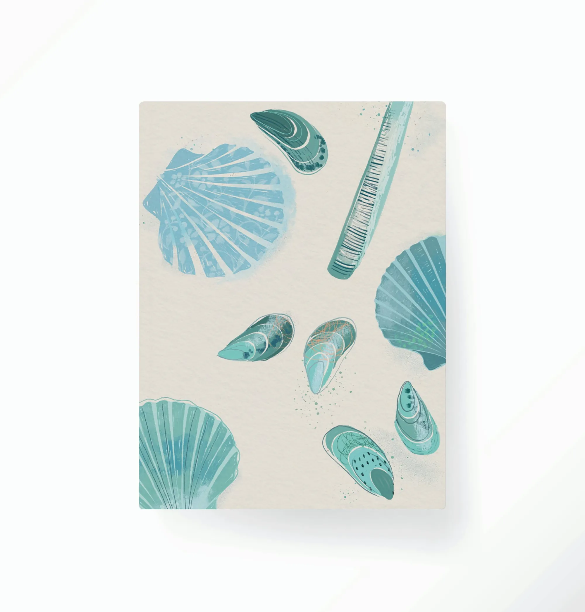 Under £20|Under £10*Whistlefish Seashells Bound Notebook
