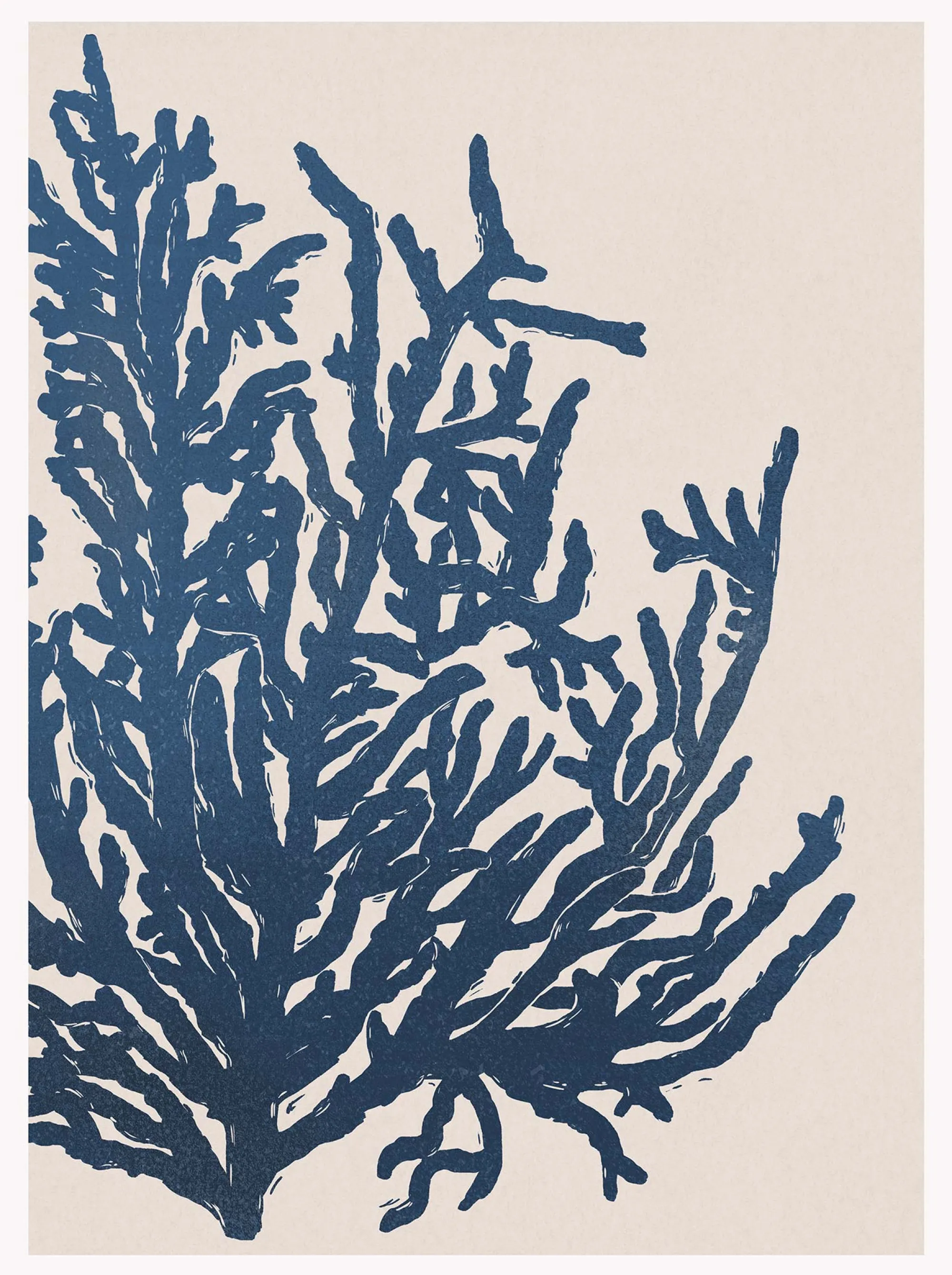 Unframed Prints*Whistlefish Seaweed Art Print