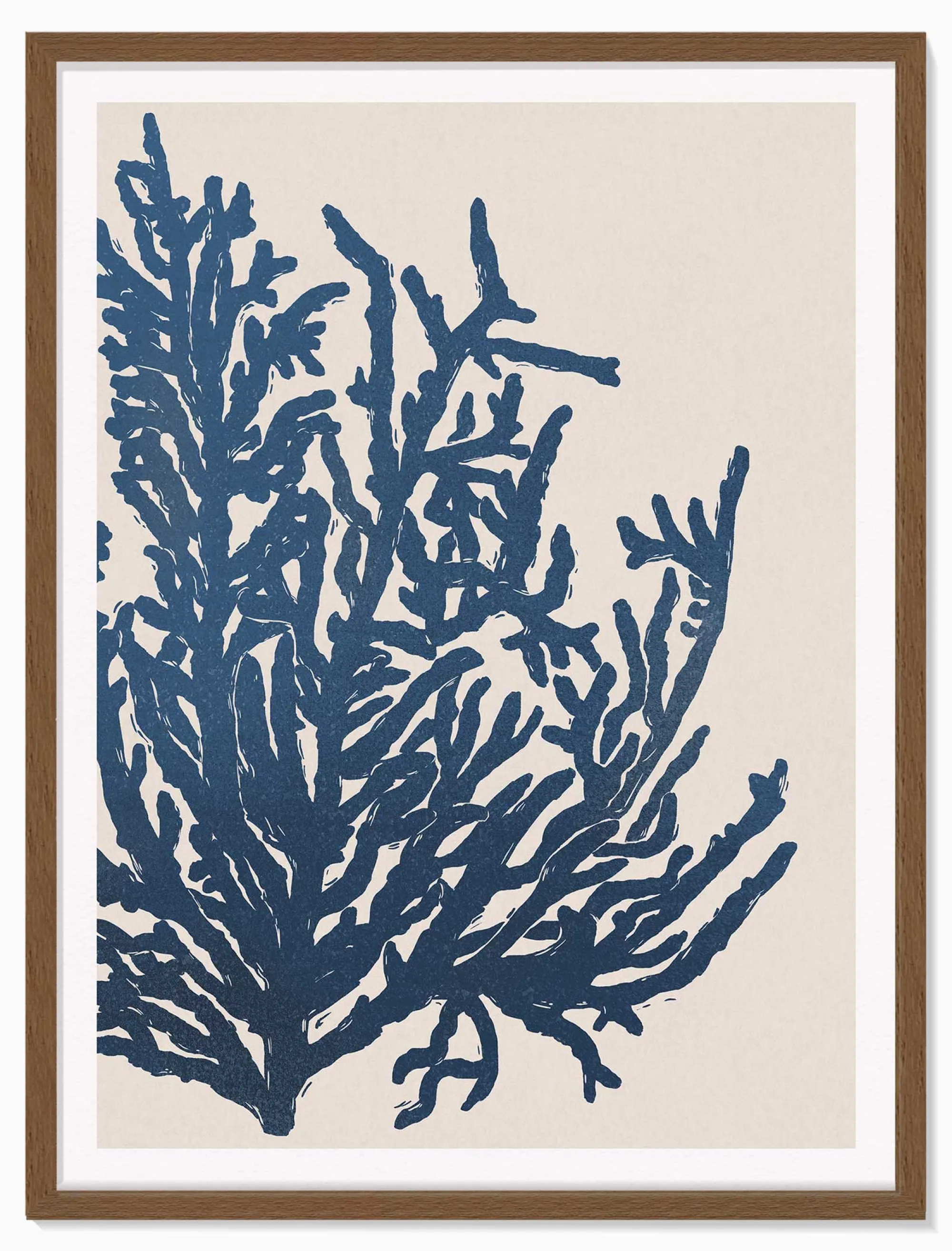 Framed Prints*Whistlefish Seaweed Large Framed Print