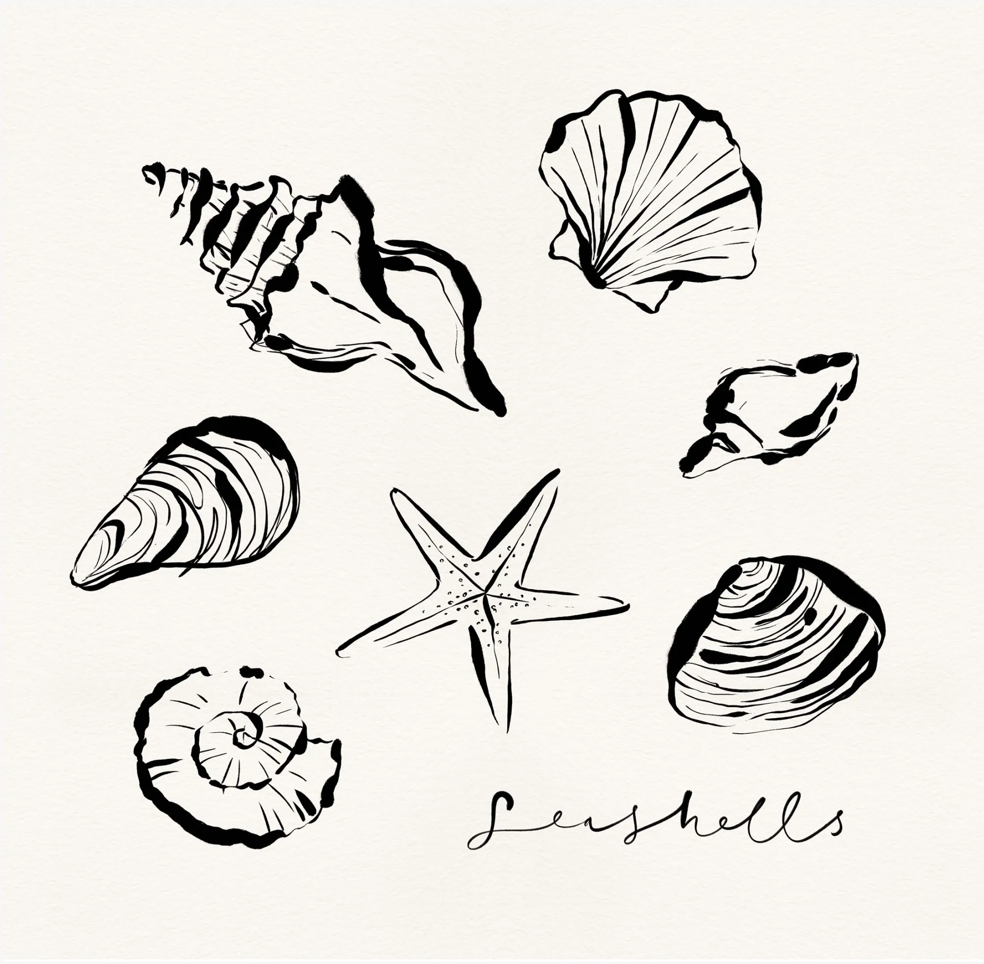 Unframed Prints*Whistlefish Shells Art Print
