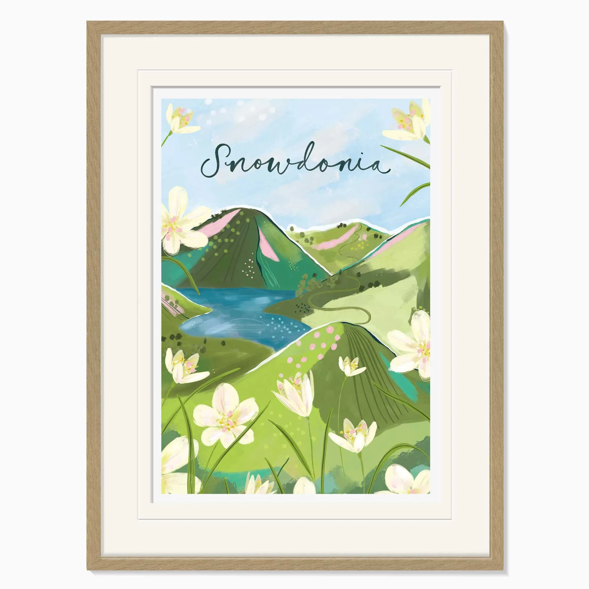 Travel|Floral & Flowers*Whistlefish Snowdonia Large Framed Print