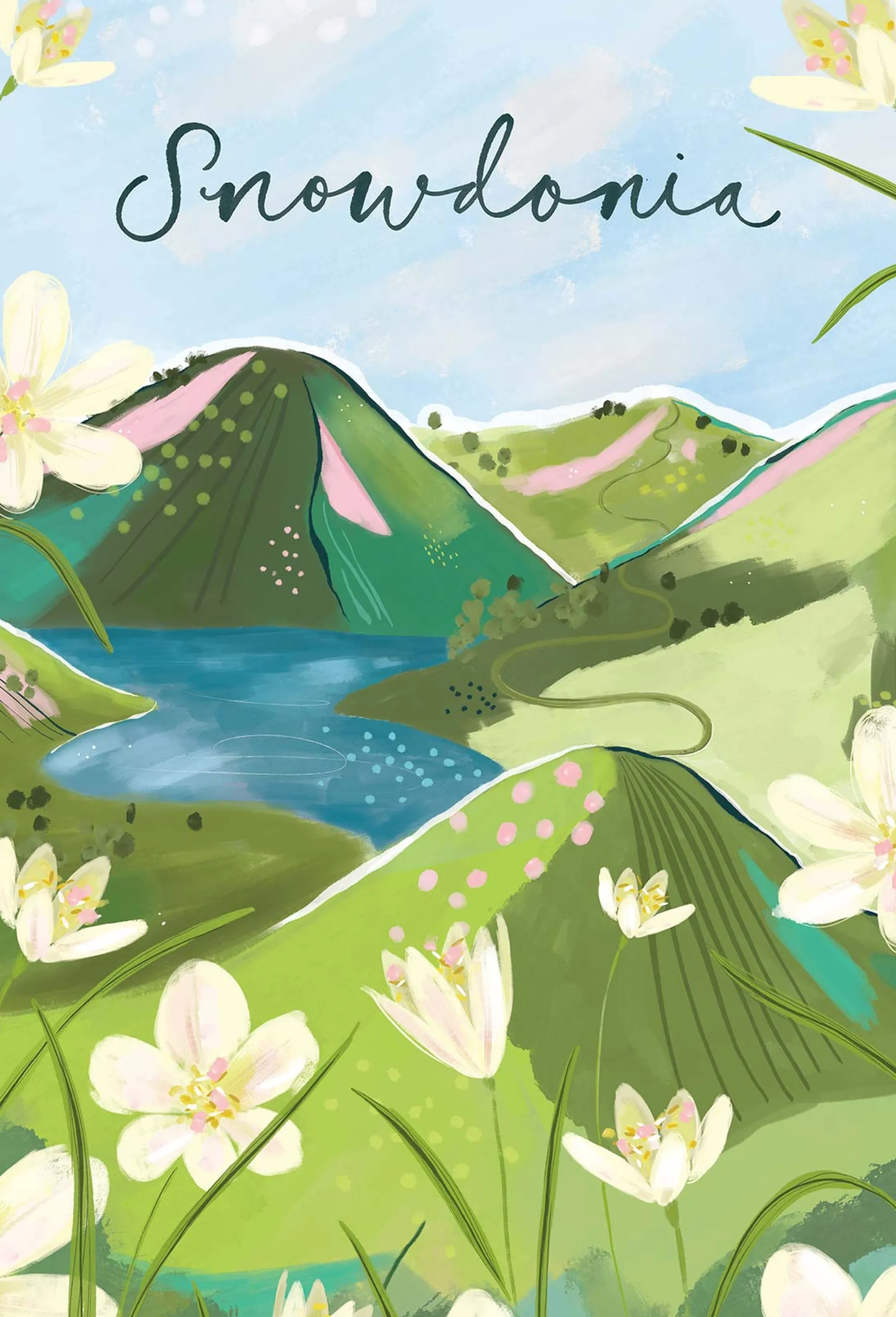 Travel|Floral & Flowers*Whistlefish Snowdonia Large Framed Print