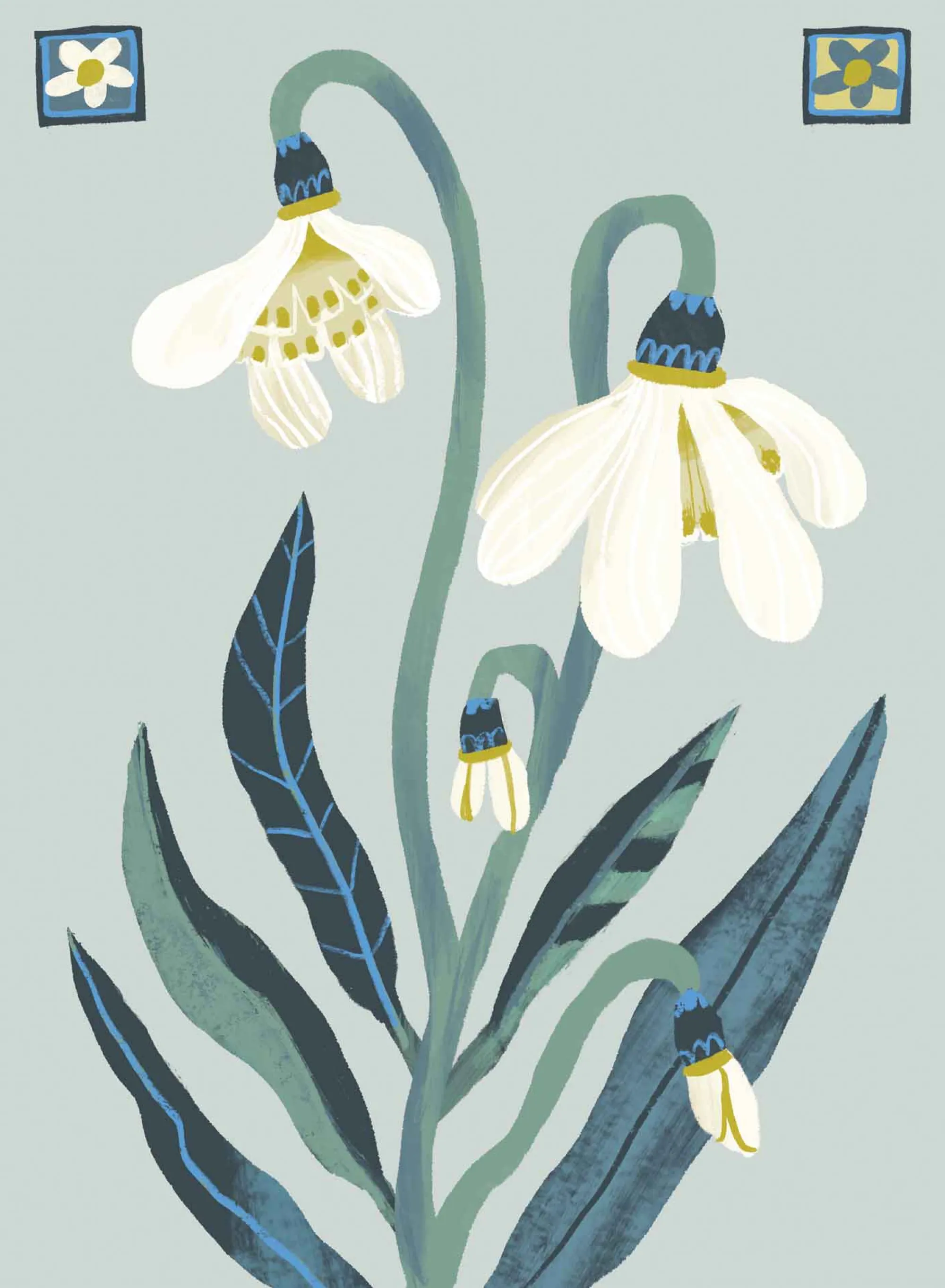 Unframed Prints*Whistlefish Snowdrops Botanical Medium Art Print