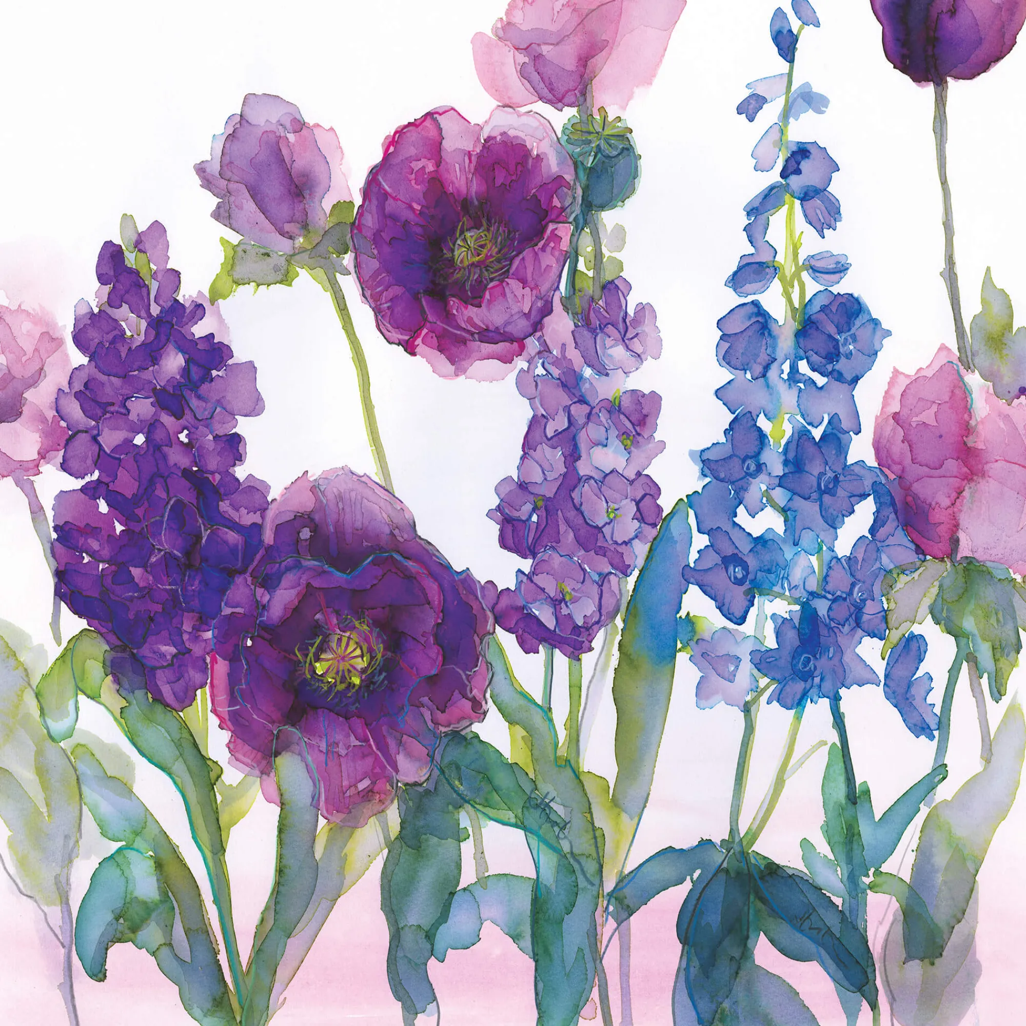 Unframed Prints*Whistlefish Stocks, Delphiniums & Poppies Art Print