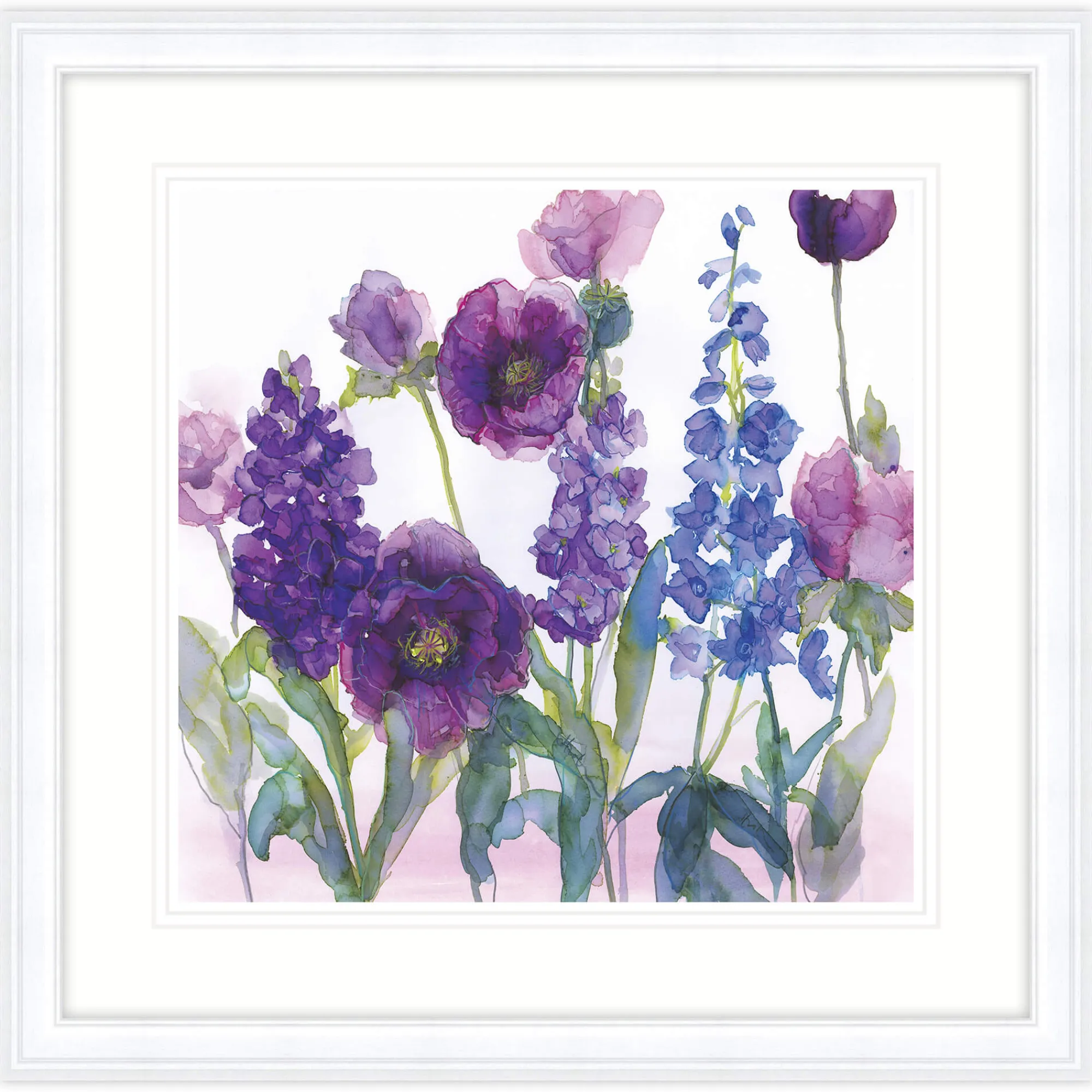 Floral & Flowers|Framed Prints*Whistlefish Stocks, Delphiniums & Poppies Framed Print