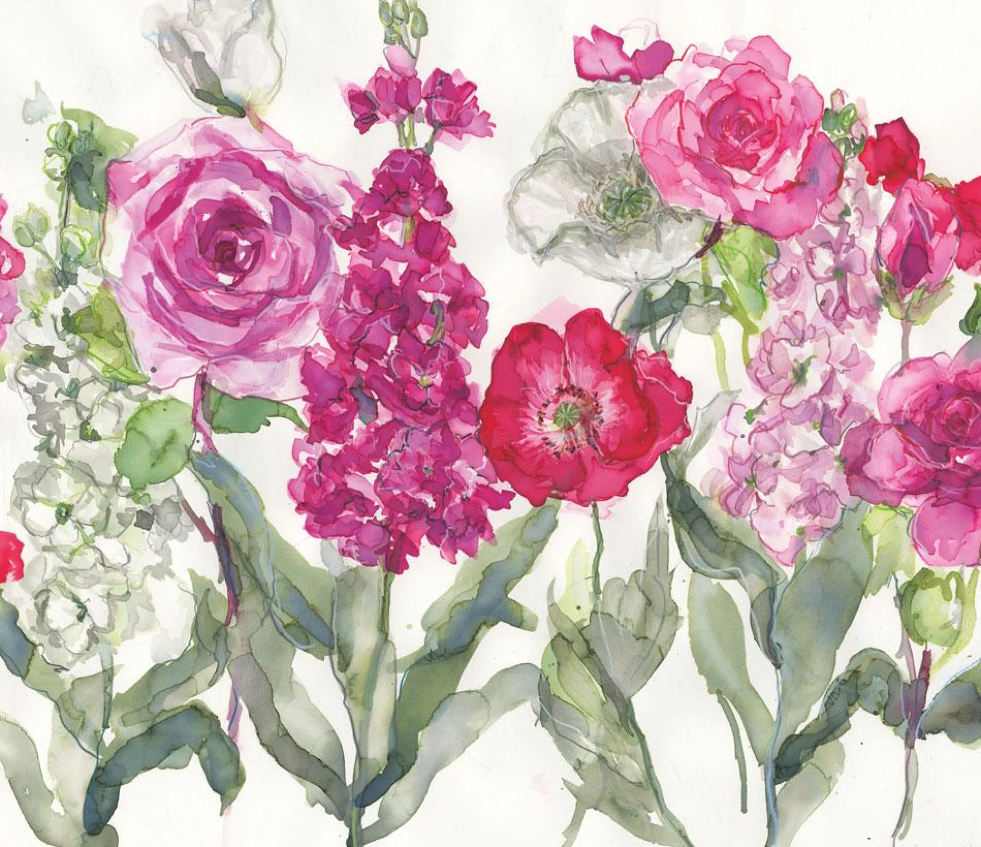 Unframed Prints*Whistlefish Stocks, Rose And Poppies Floral Art Print