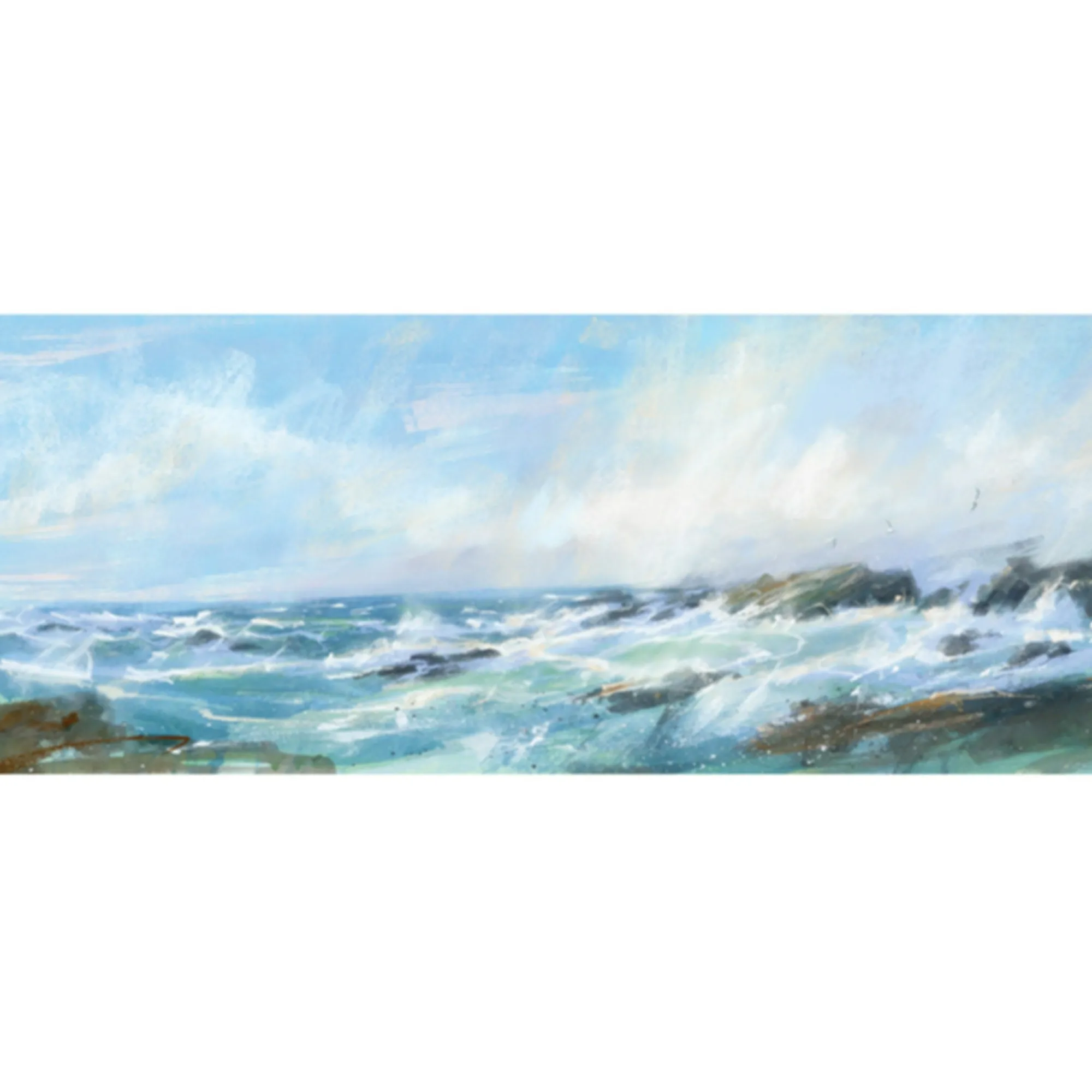 Unframed Prints*Whistlefish Terns Over The Point Art Print