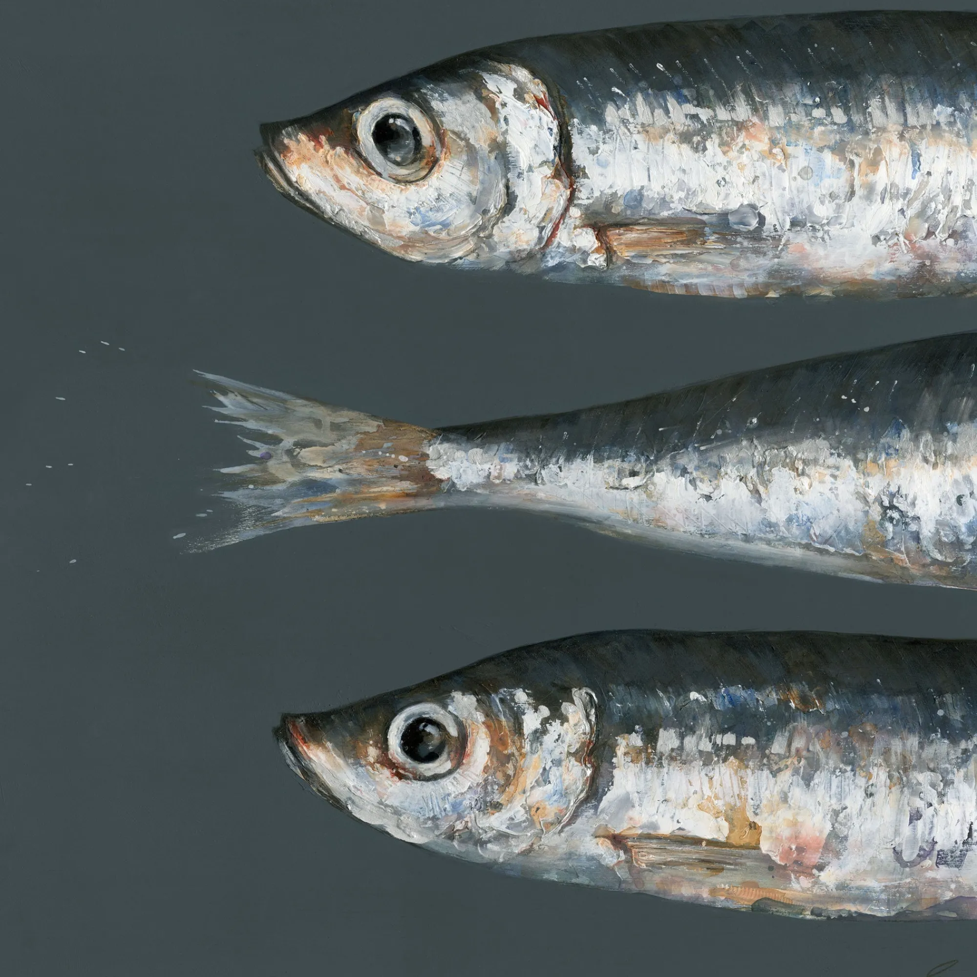 Unframed Prints*Whistlefish Three Sprats Art Print