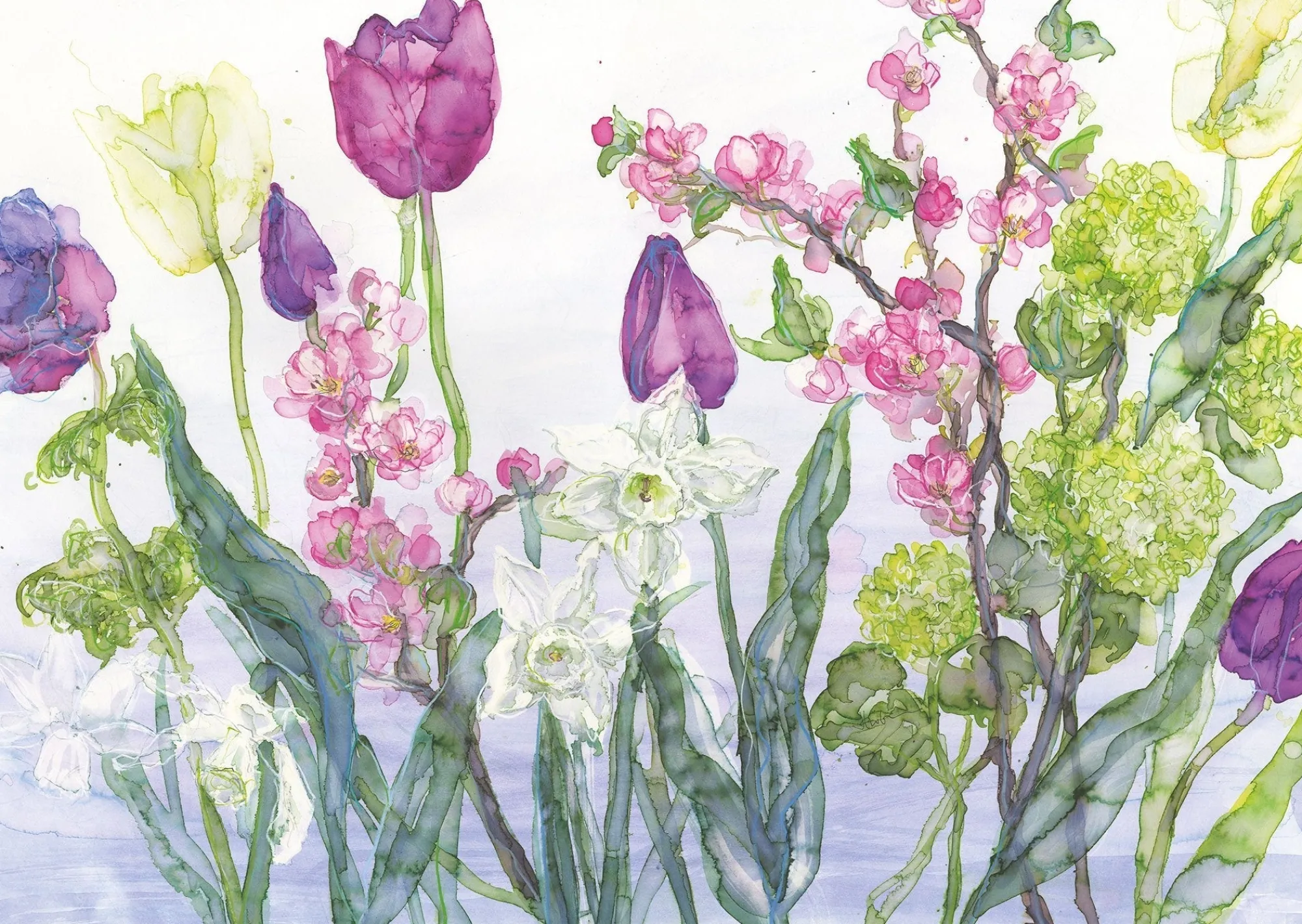 Unframed Prints*Whistlefish Tulip & Blossom Art Print