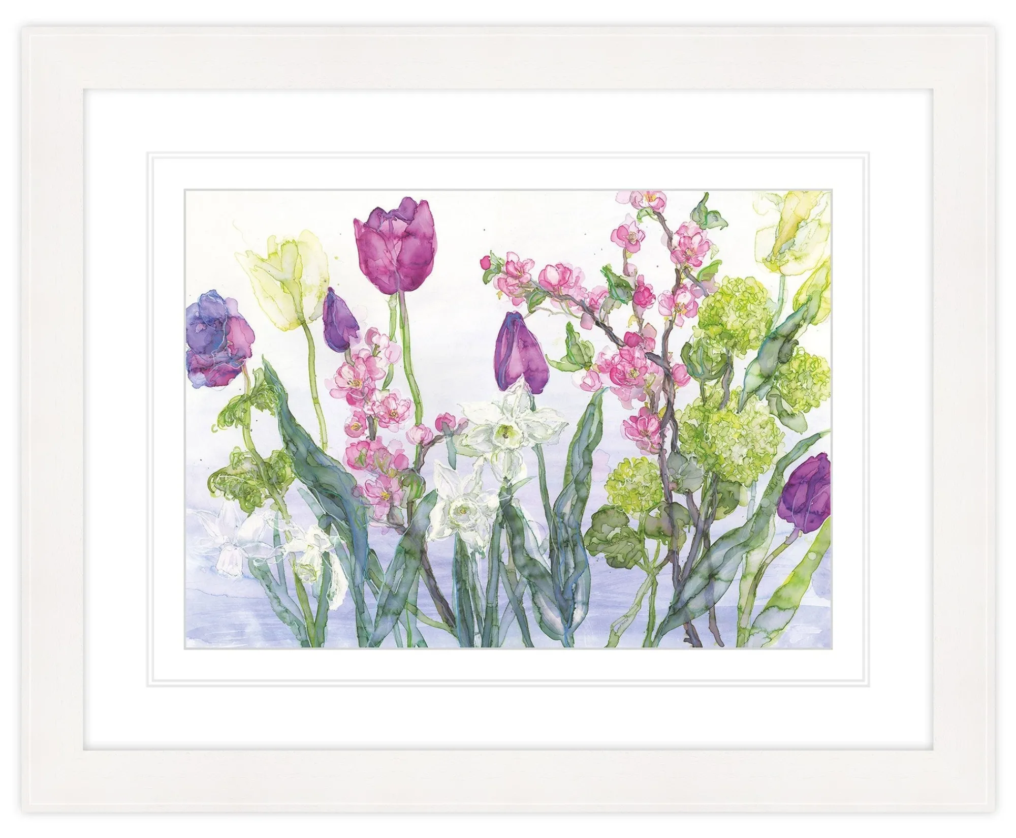 Framed Prints*Whistlefish Tulip & Blossom Framed Print