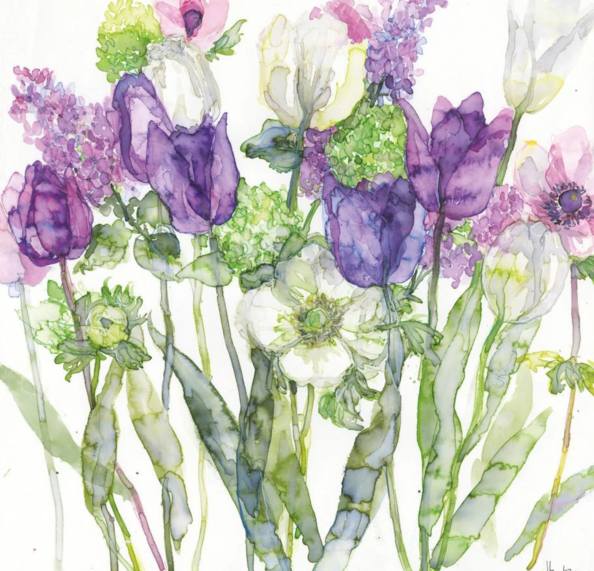 Unframed Prints*Whistlefish Tulips, Lilacs & Anemone Art Print